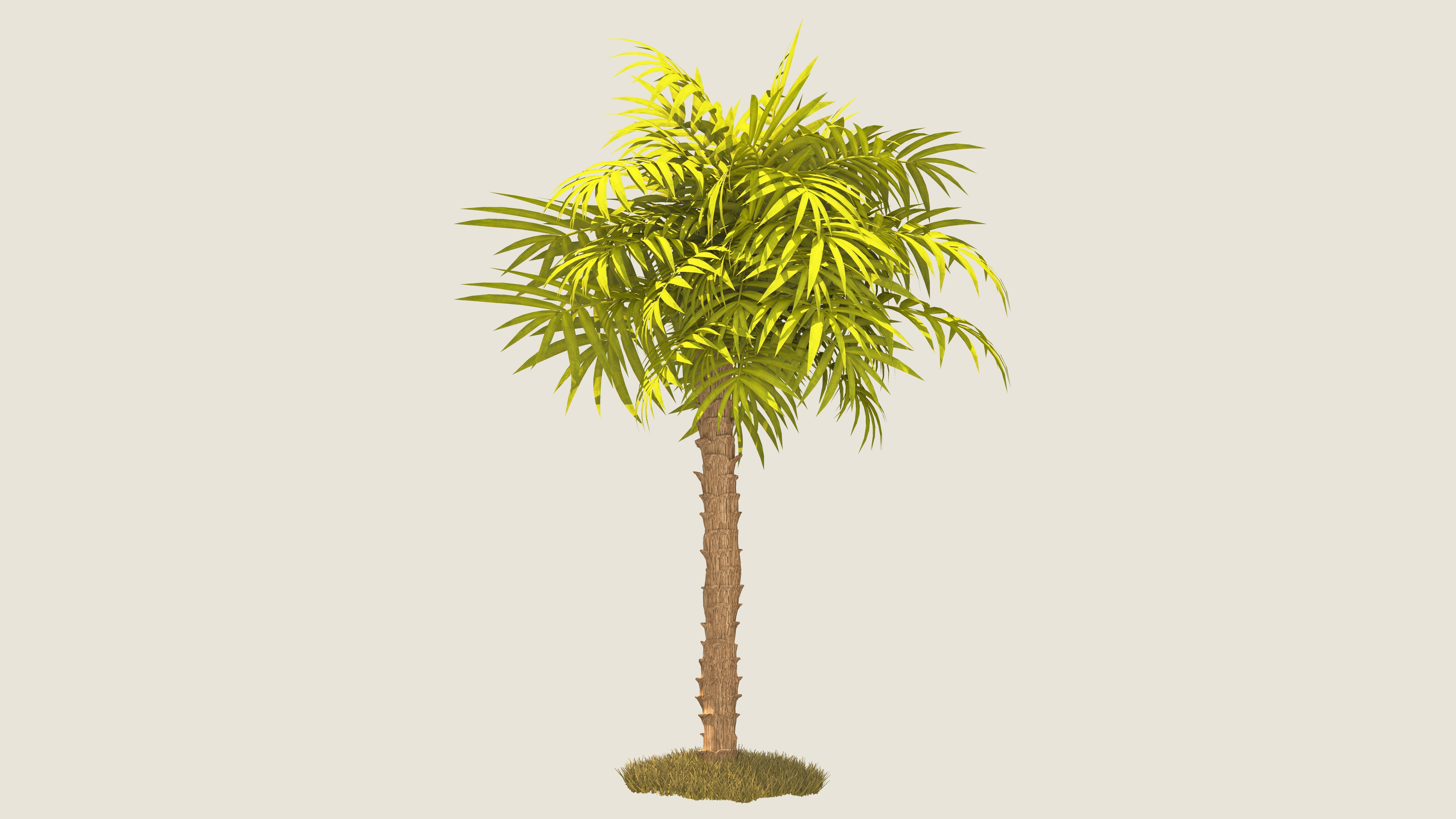 Beach Bar  3D model_4