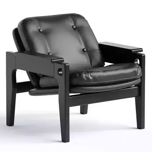 Renata Armchair by Sergio Rodrigues