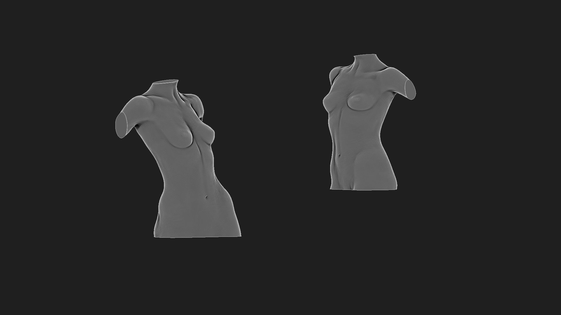 woman torso 2  3D print model_4
