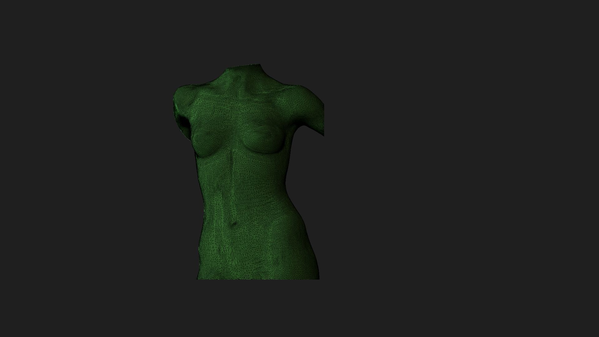 woman torso 2  3D print model_5