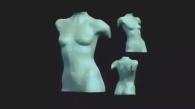 woman torso 2 
