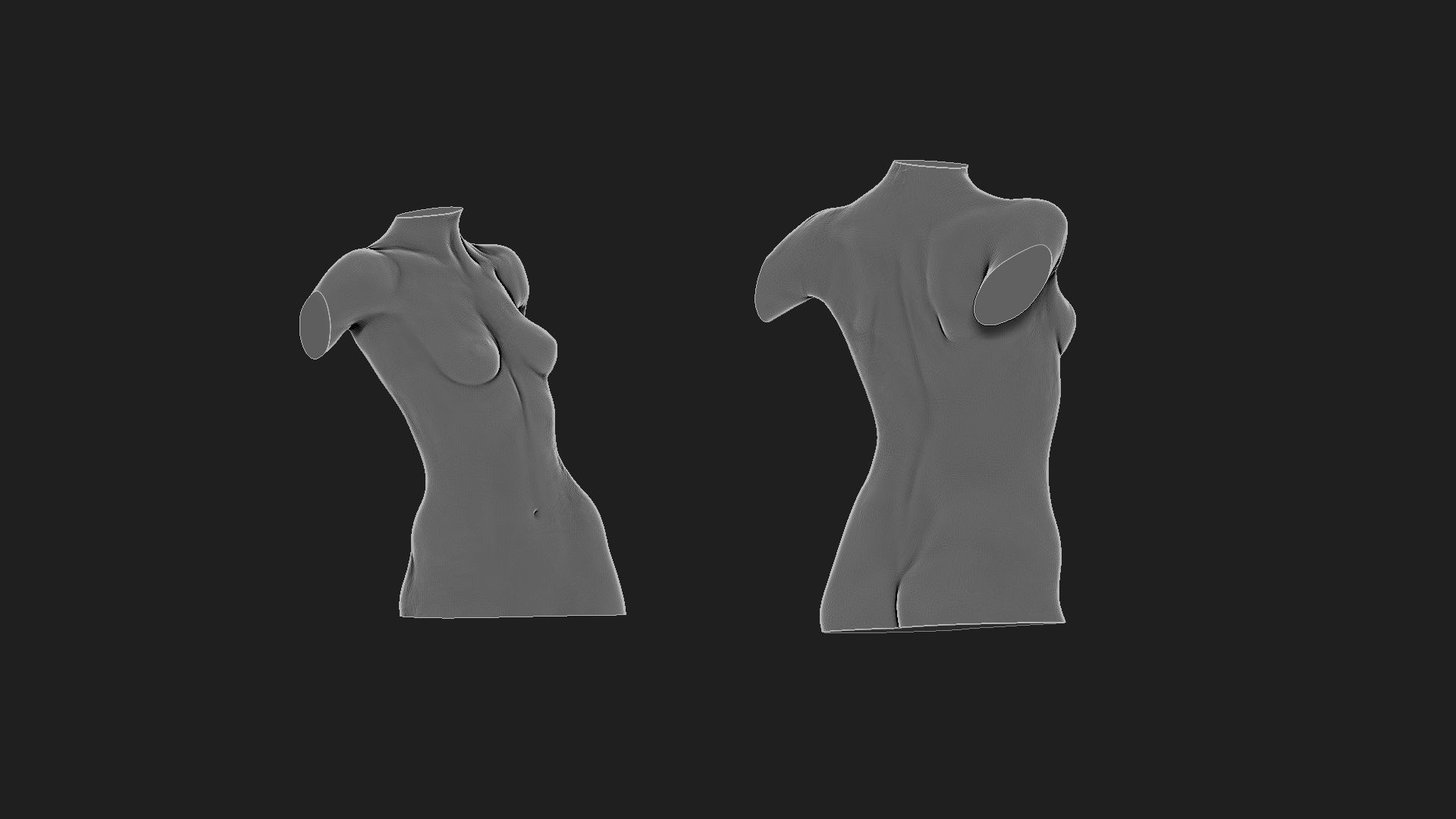 woman torso 2  3D print model_3