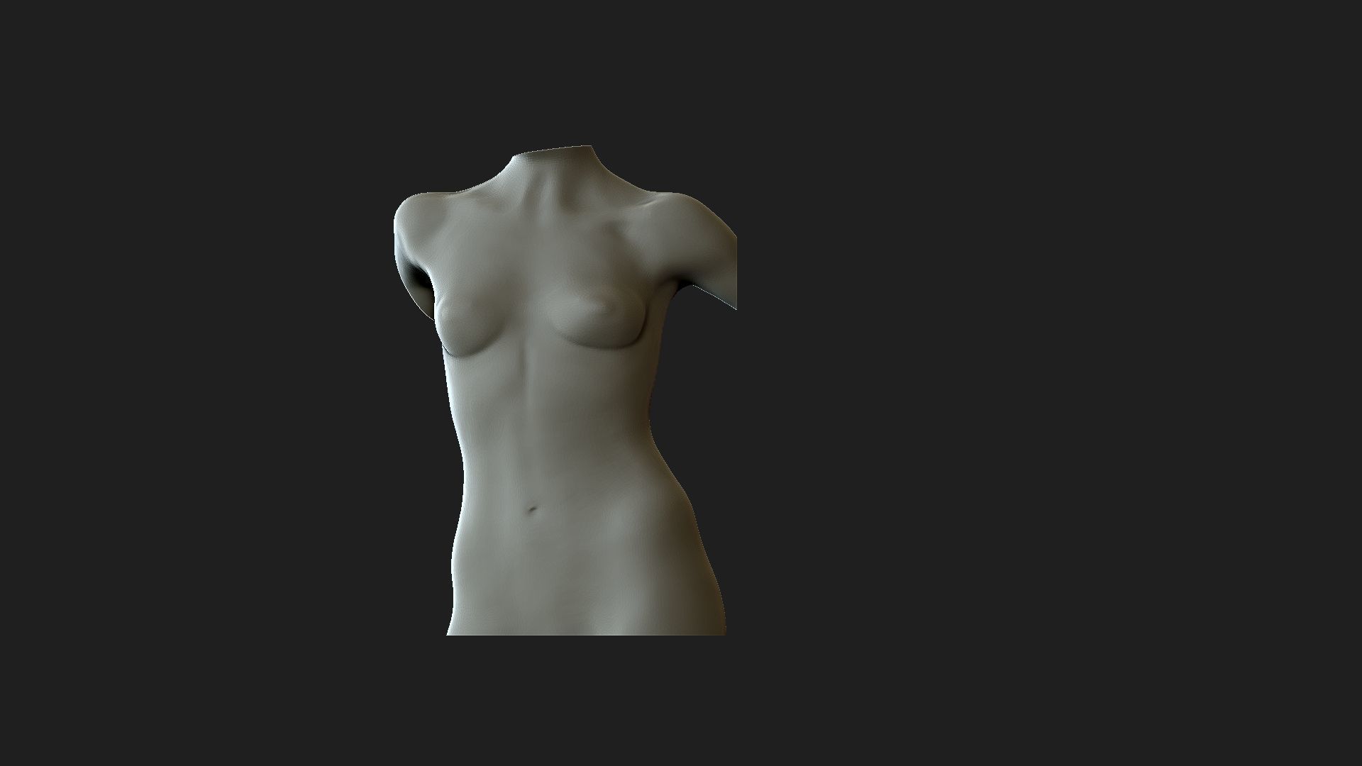 woman torso 2  3D print model_1