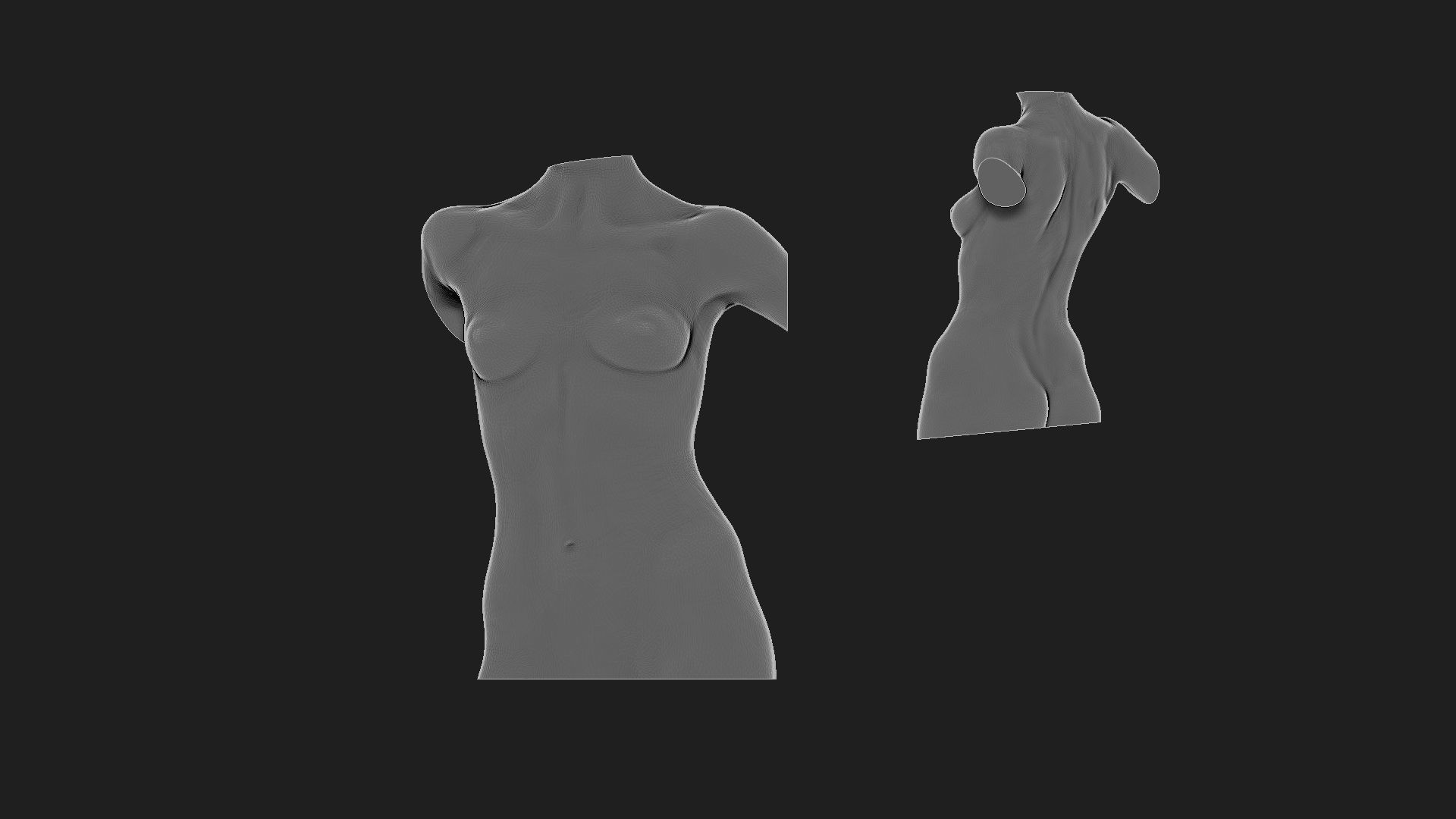 woman torso 2  3D print model_2