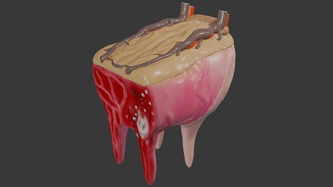 Cow udder 3D model