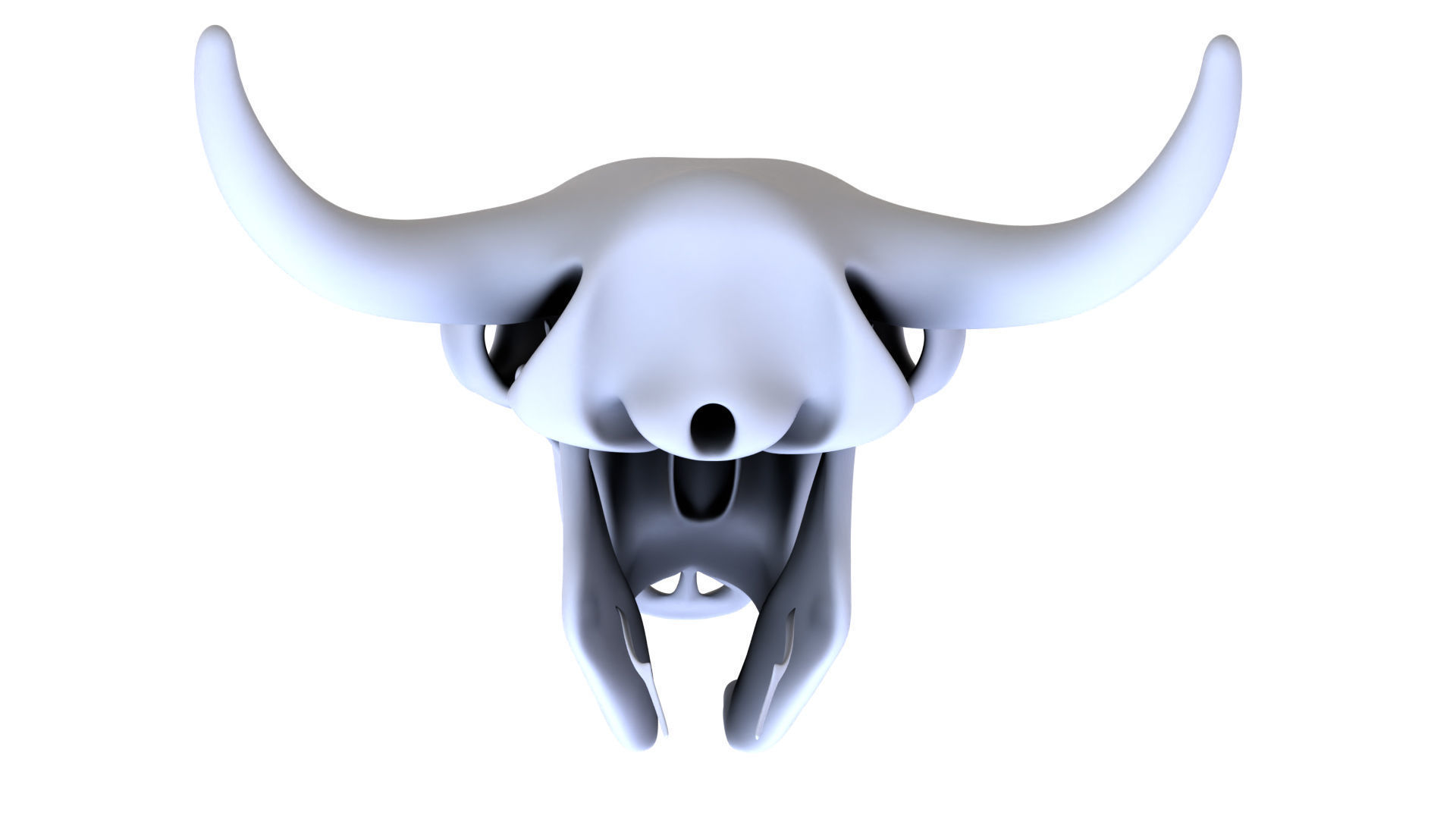 3D Bison Skeleton 3D model_3