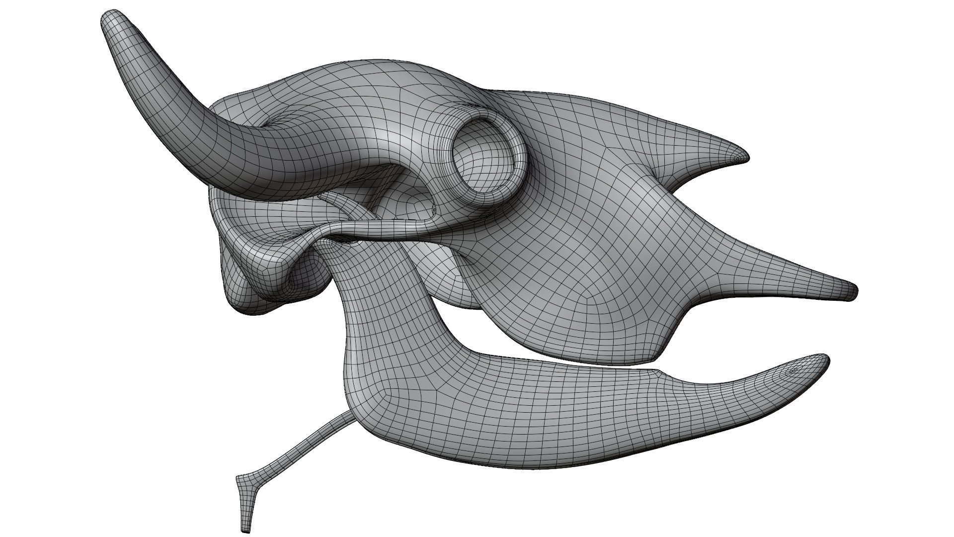 3D Bison Skeleton 3D model_17