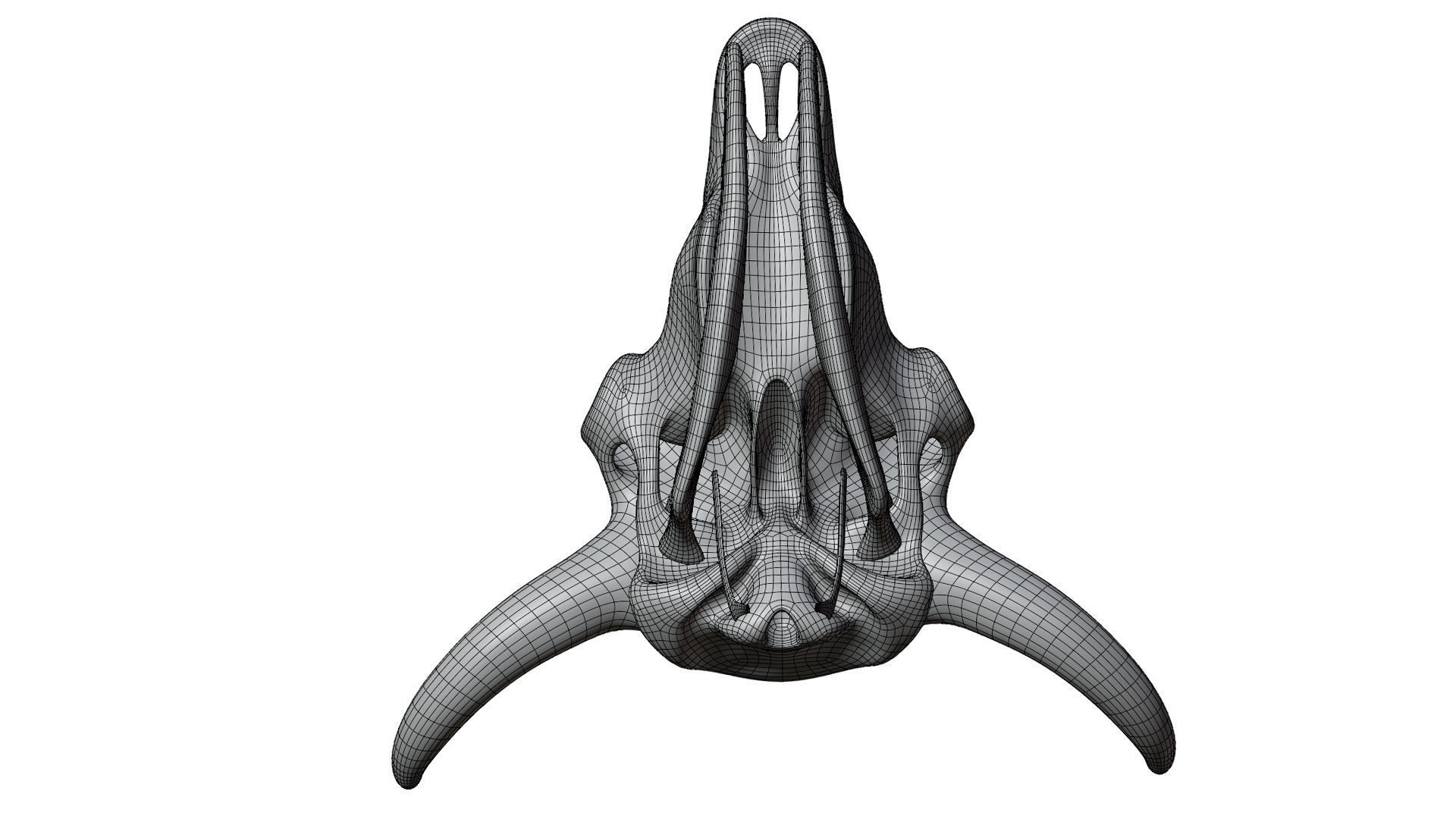3D Bison Skeleton 3D model_29