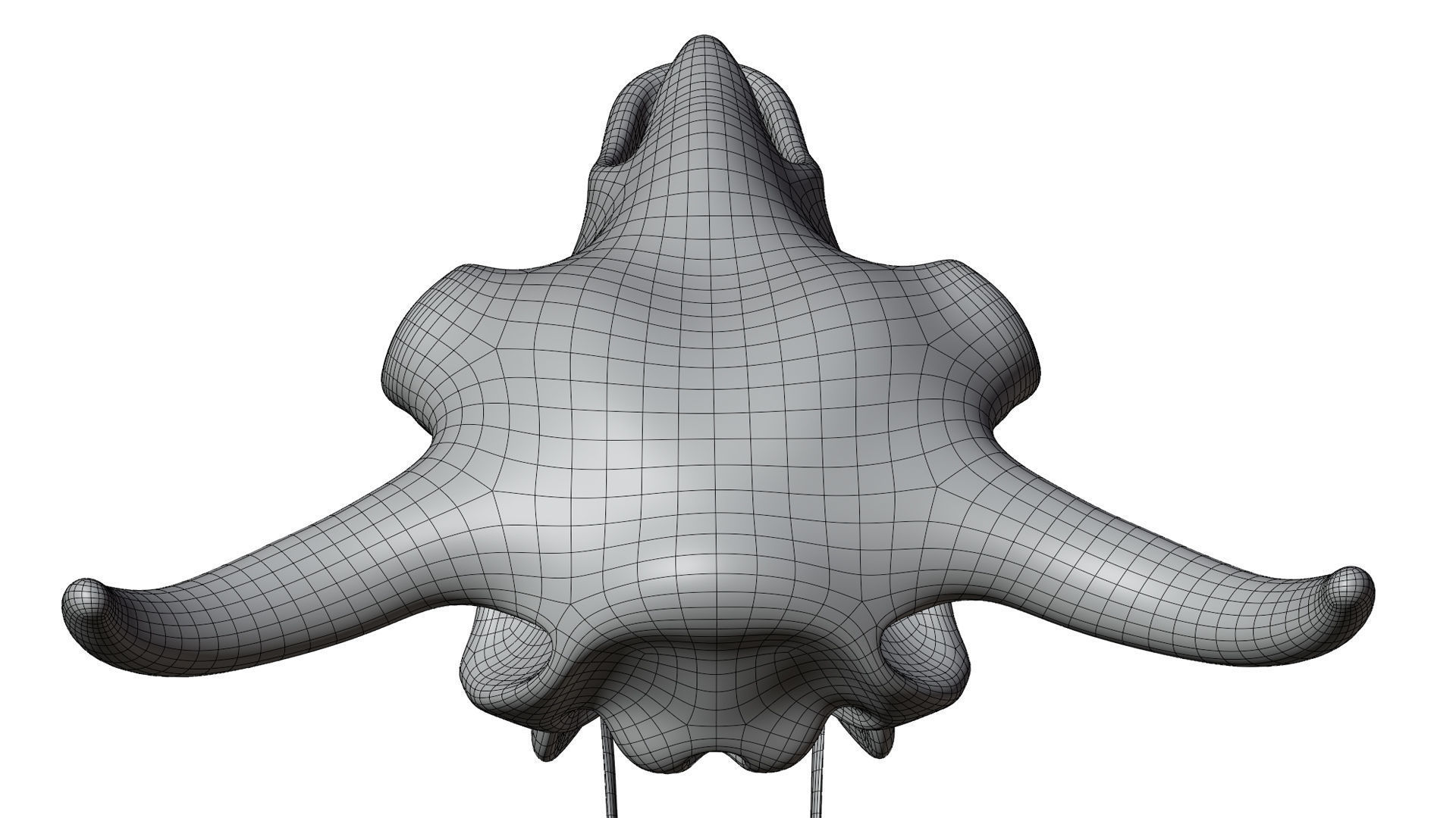 3D Bison Skeleton 3D model_18