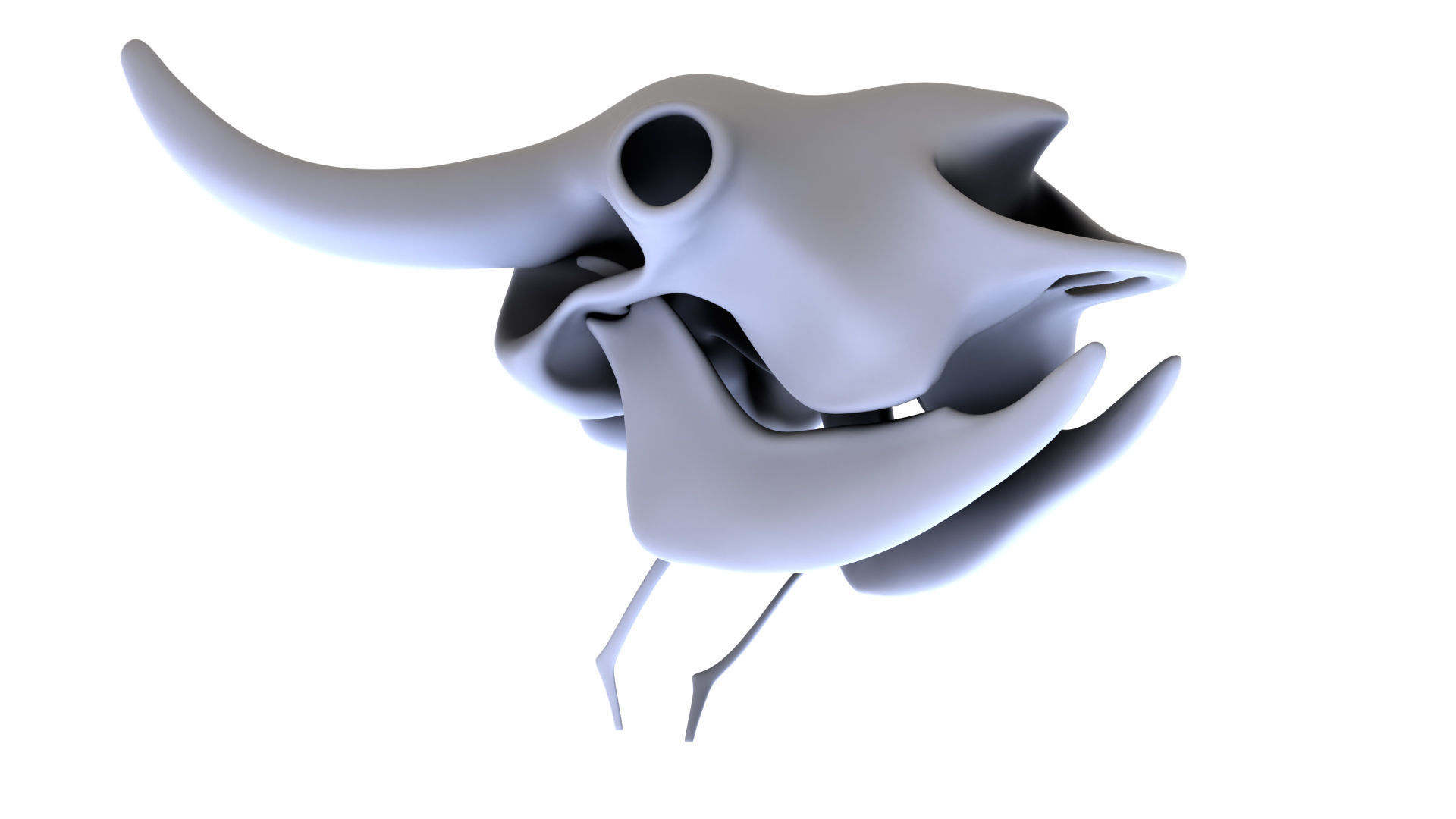 3D Bison Skeleton 3D model_16