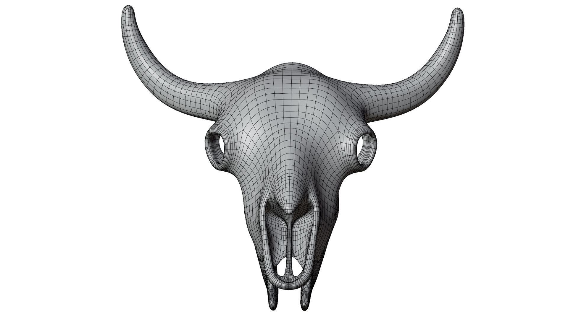 3D Bison Skeleton 3D model_25