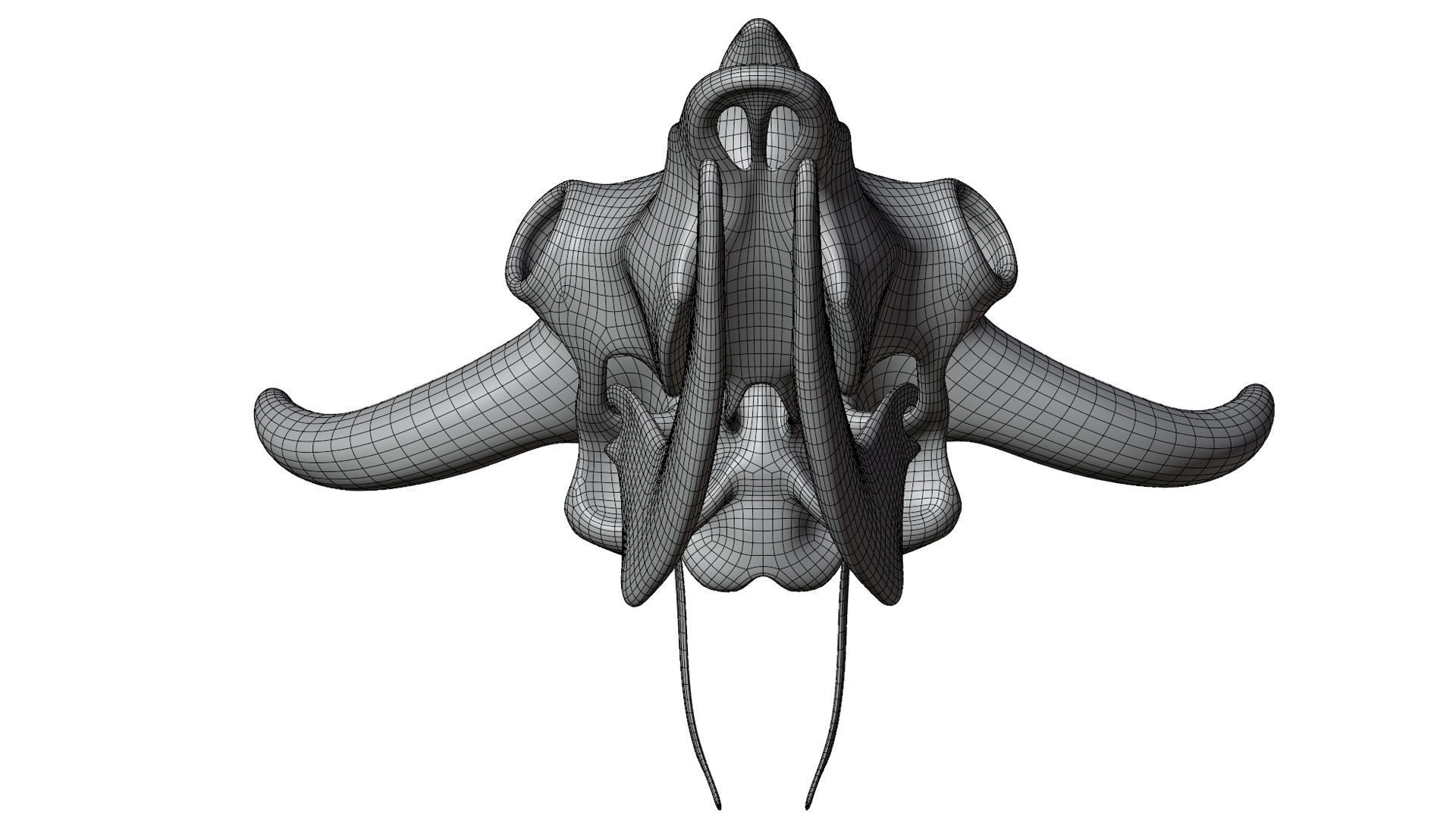 3D Bison Skeleton 3D model_30