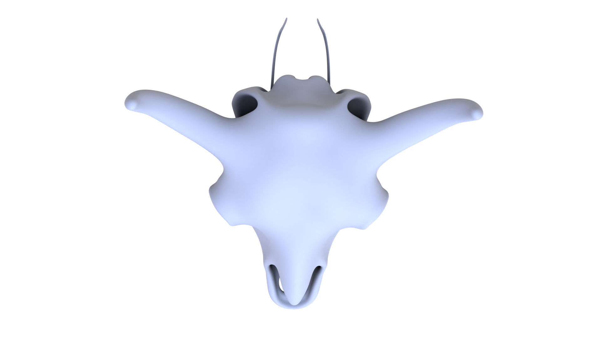 3D Bison Skeleton 3D model_6