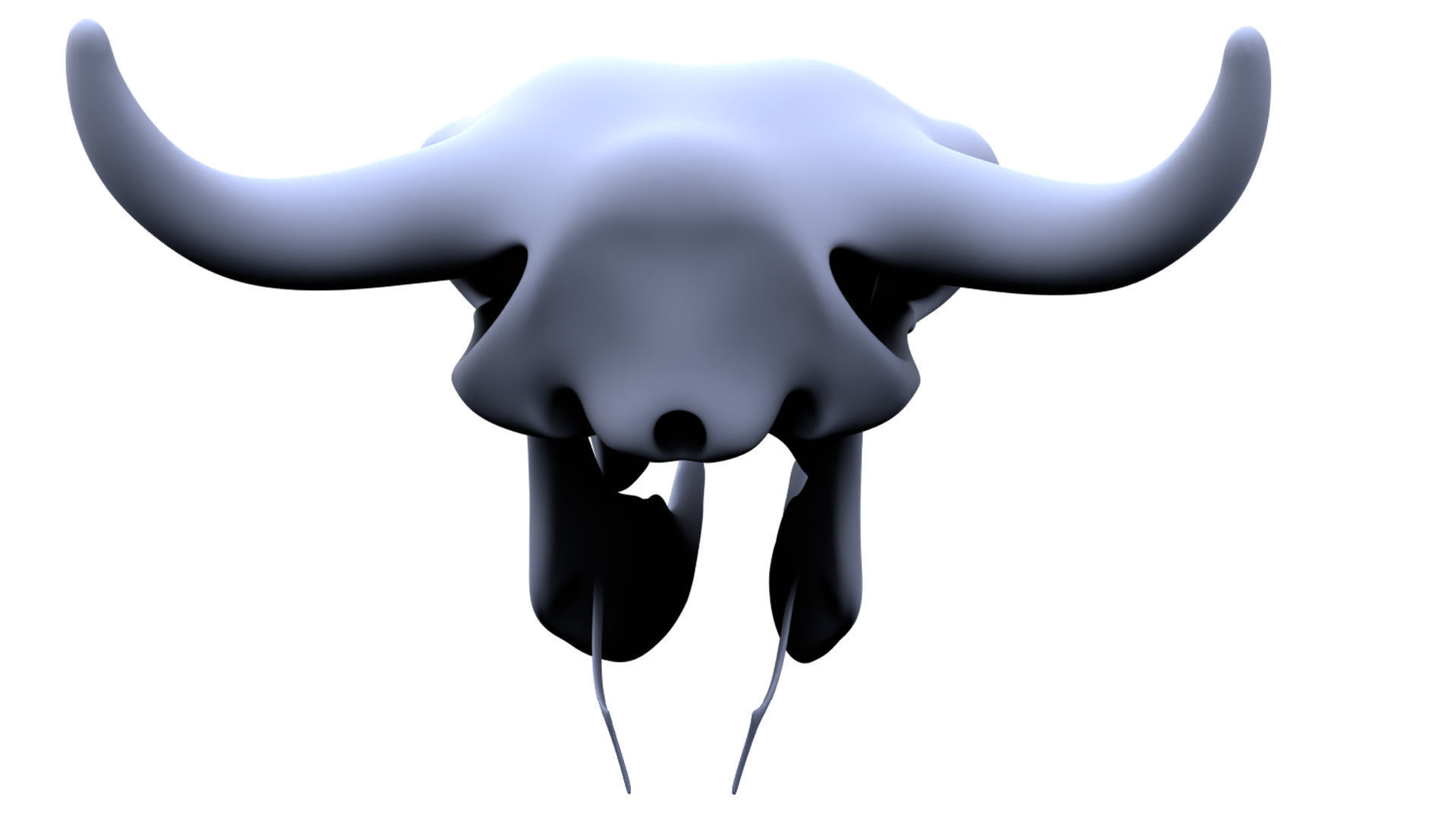 3D Bison Skeleton 3D model_12