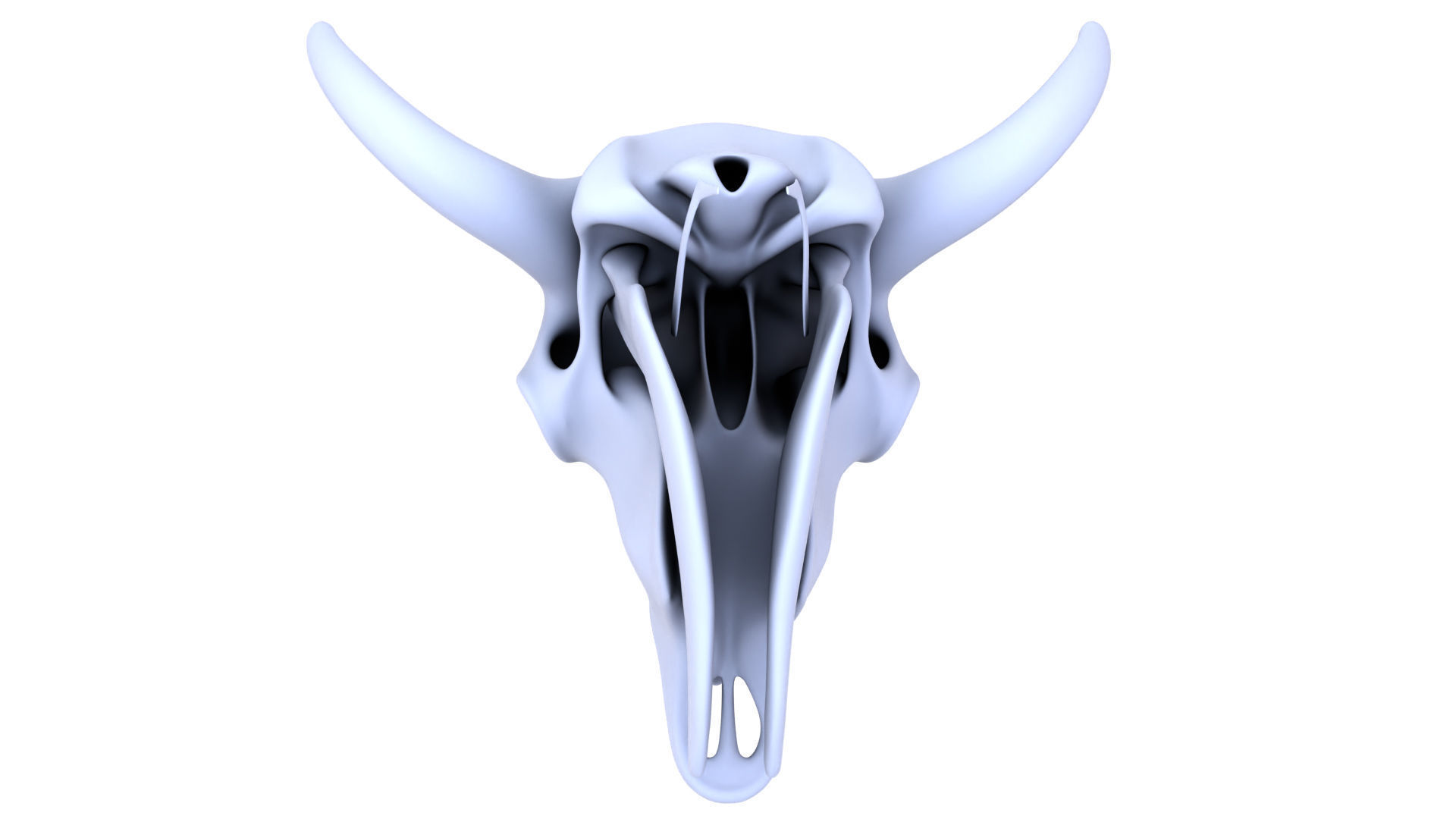 3D Bison Skeleton 3D model_14