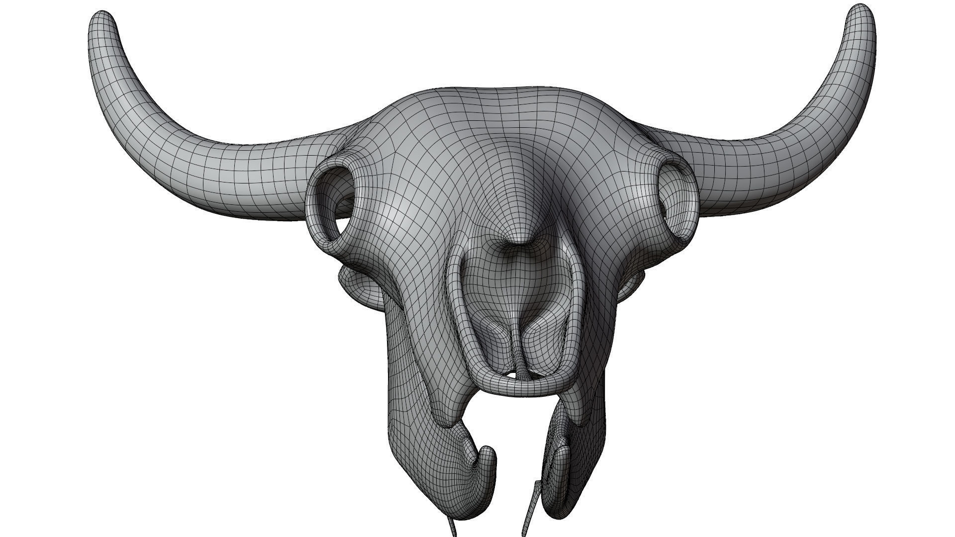 3D Bison Skeleton 3D model_24