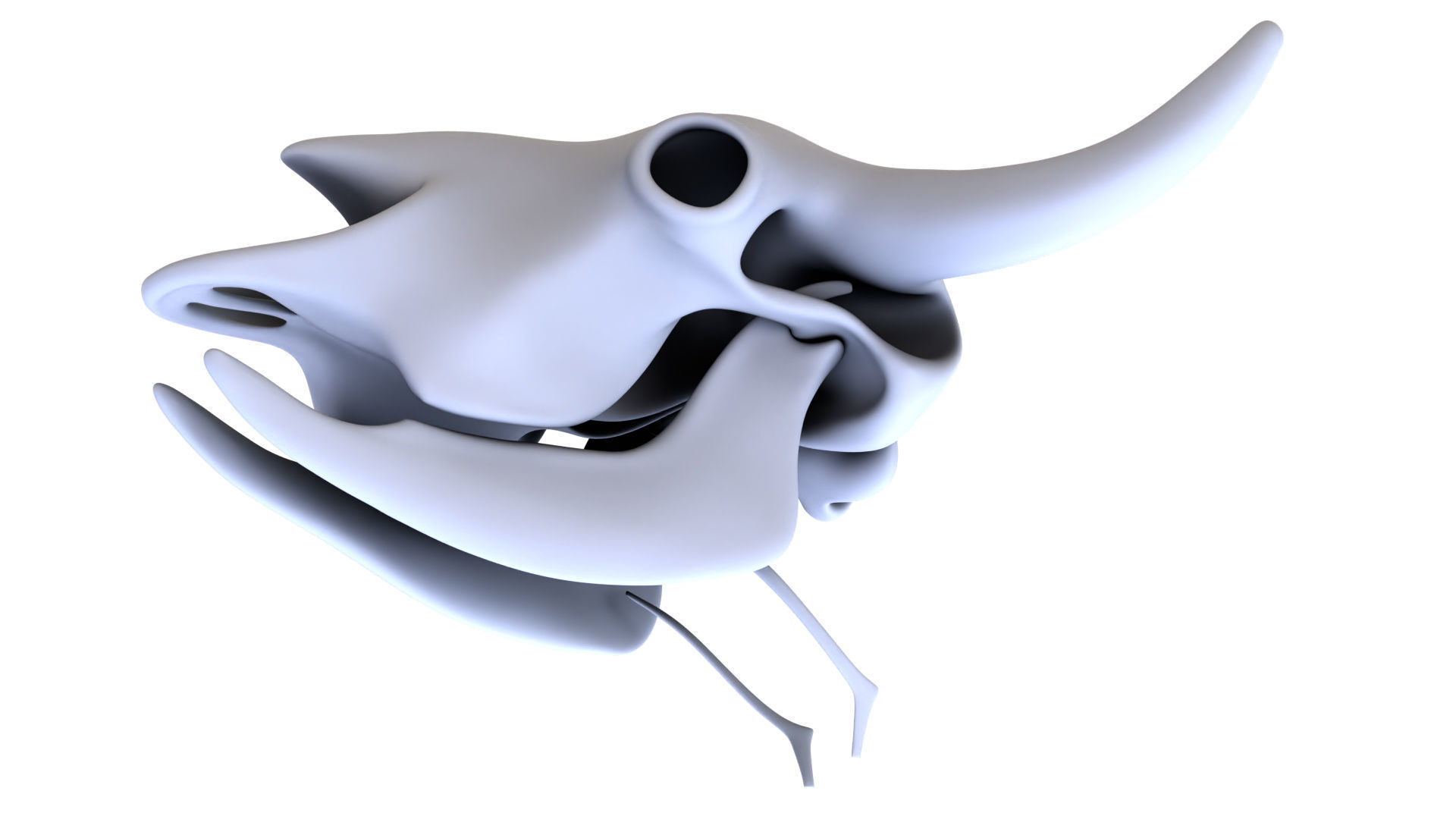 3D Bison Skeleton 3D model_2