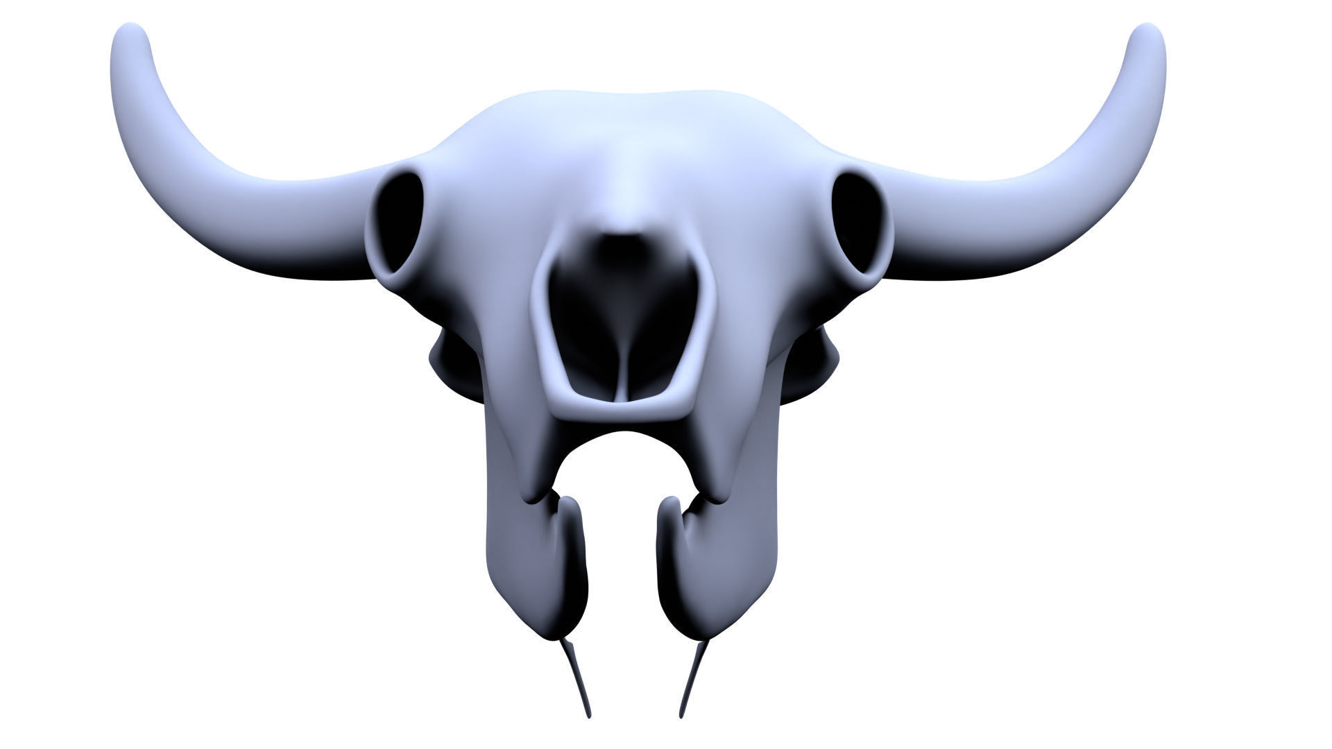 3D Bison Skeleton 3D model_10