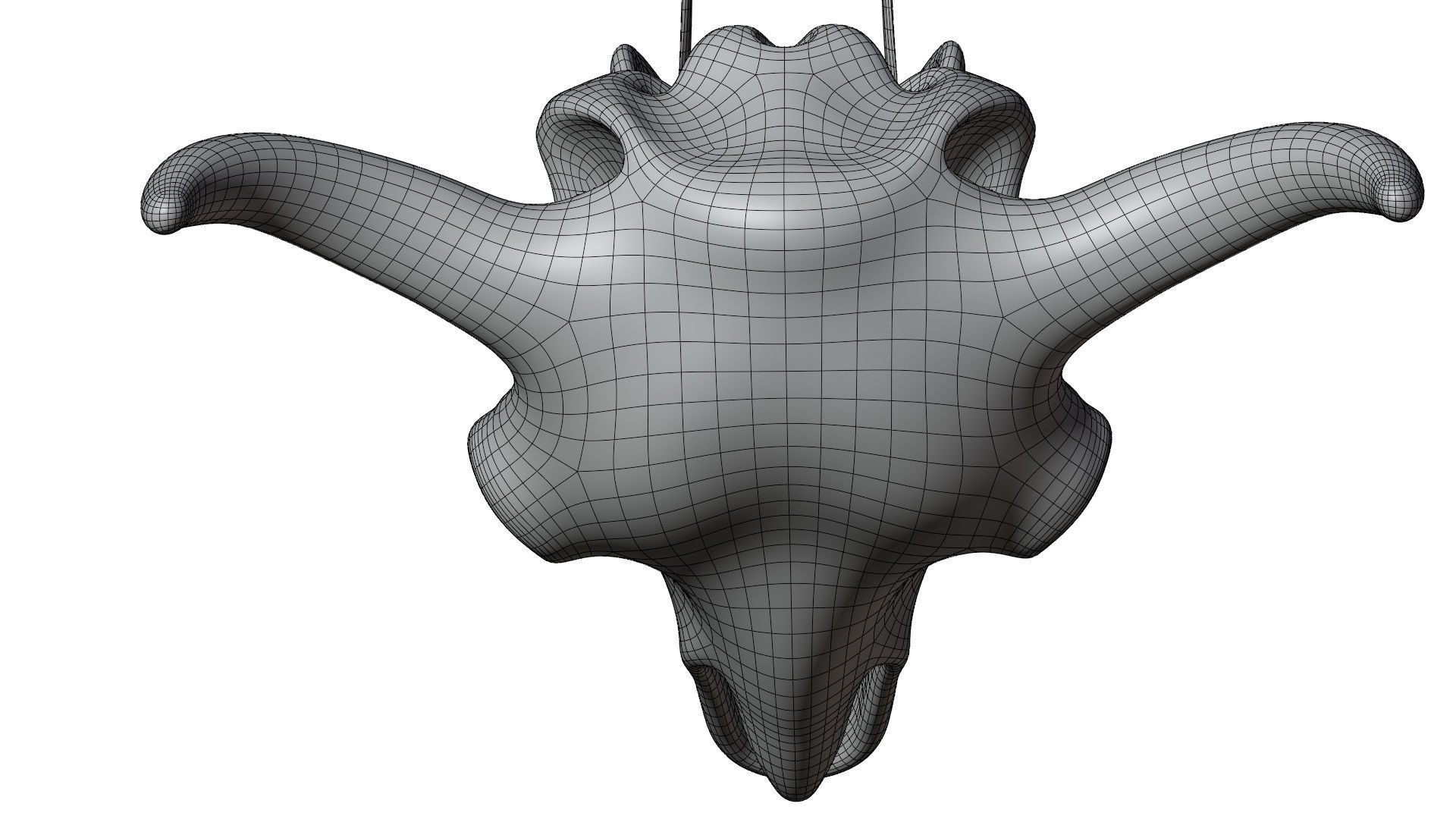 3D Bison Skeleton 3D model_31