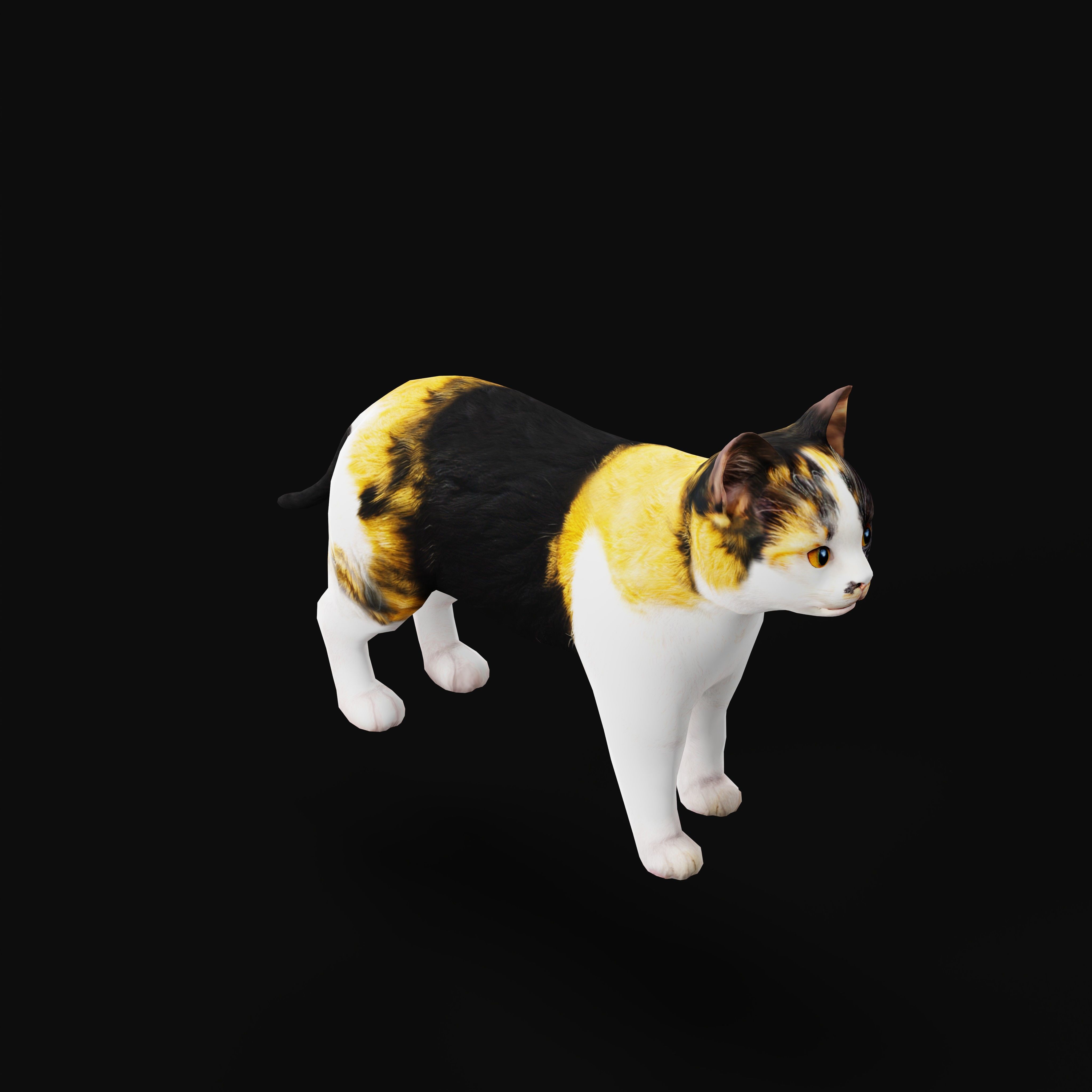Calico Kitten Cat Low-poly 3D model_33