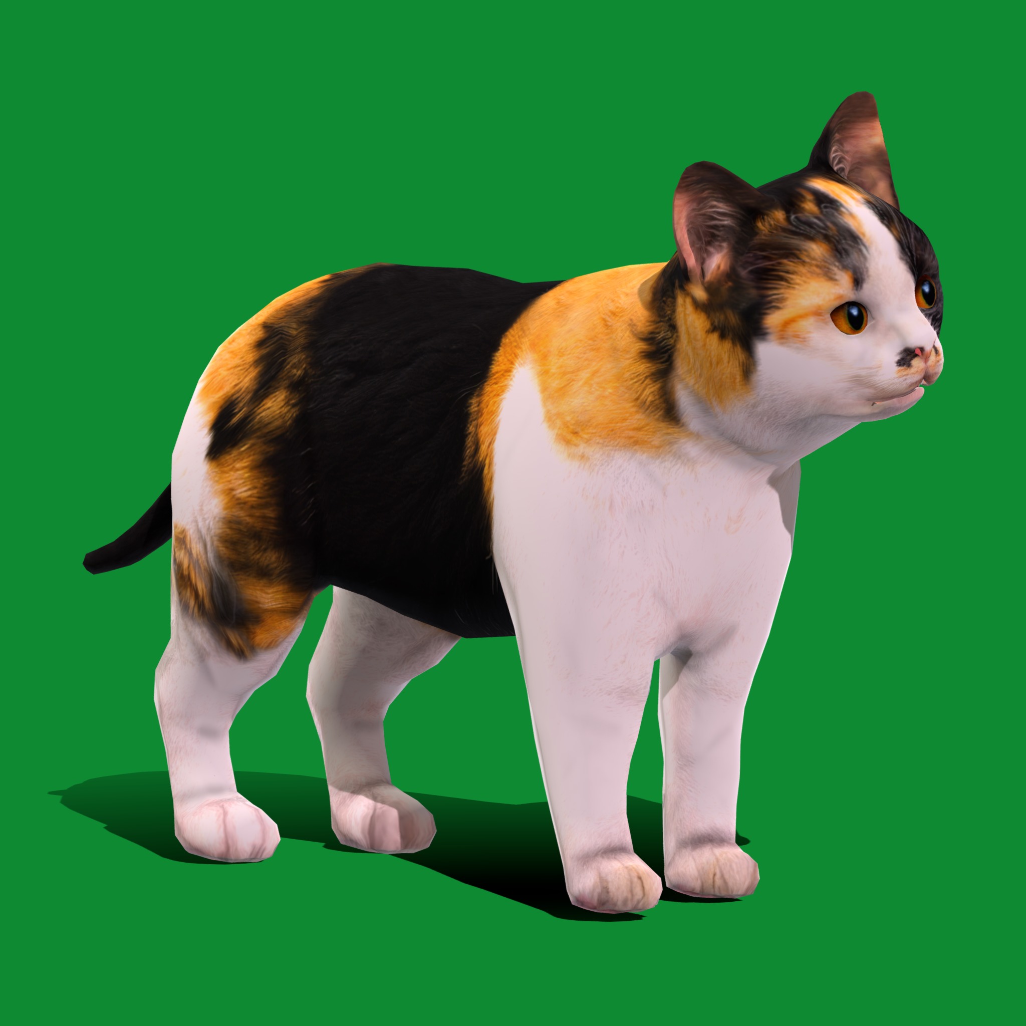 Calico Kitten Cat Low-poly 3D model_19