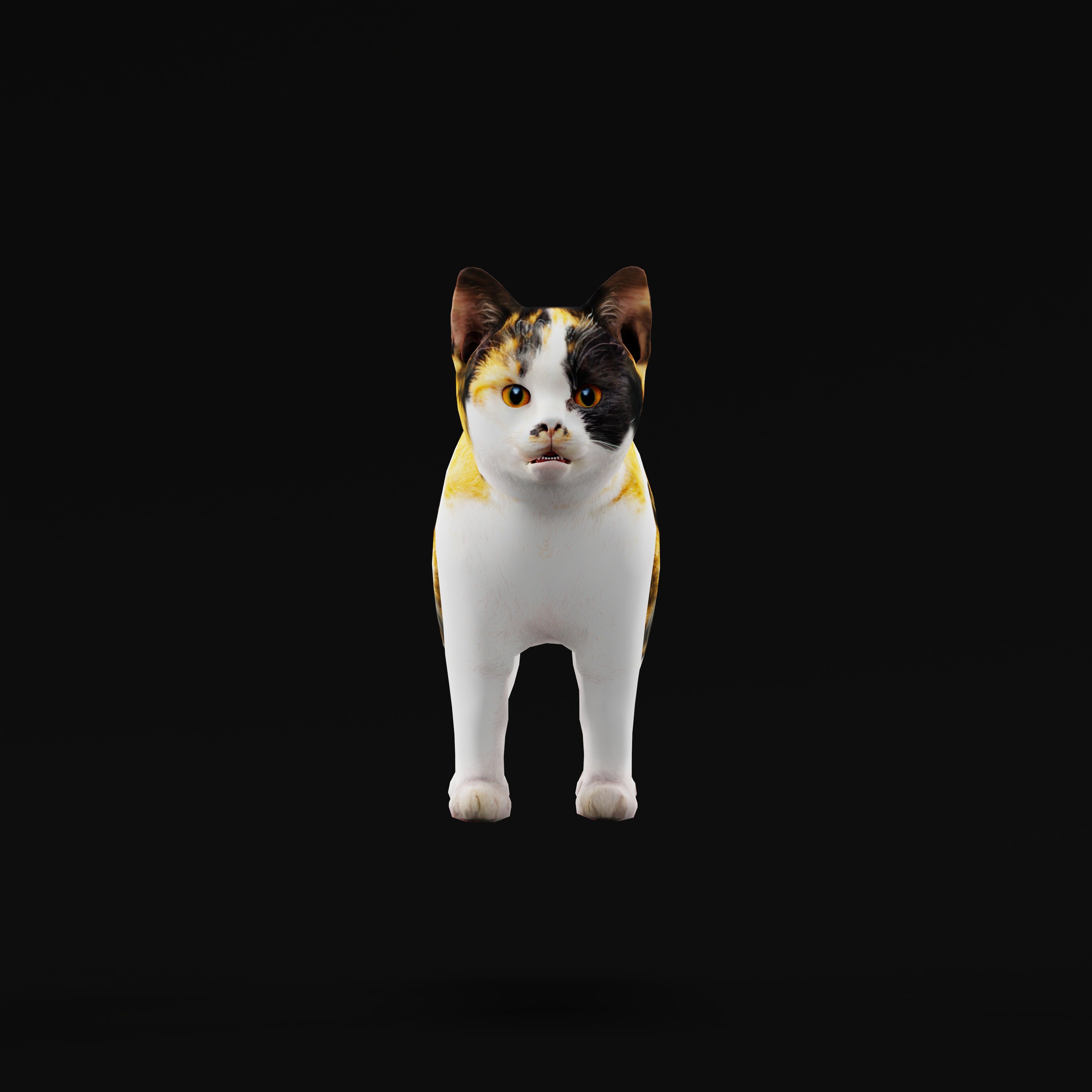 Calico Kitten Cat Low-poly 3D model_34