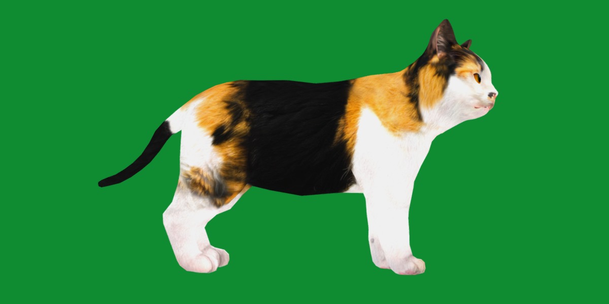 Calico Kitten Cat Low-poly 3D model_23