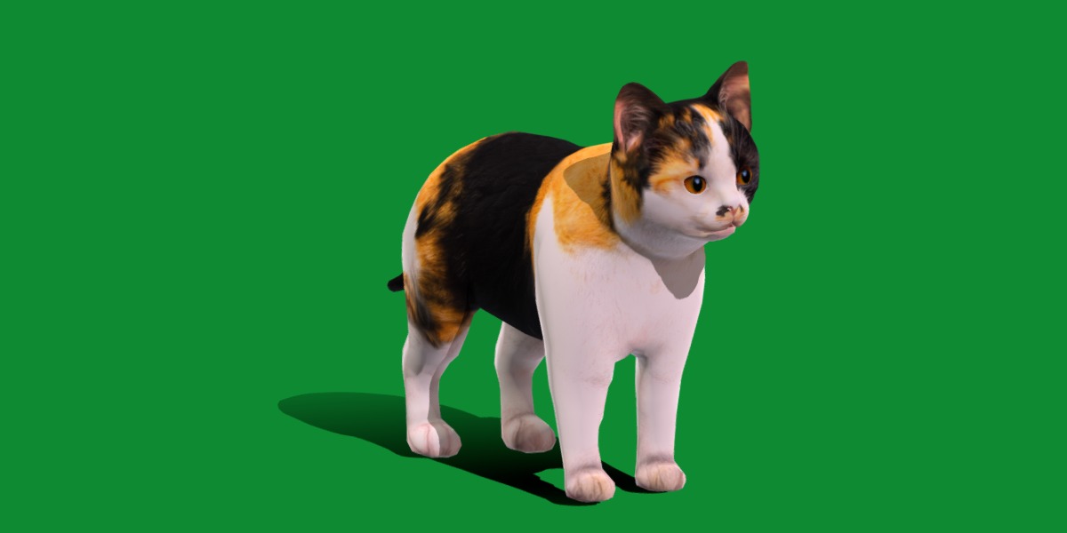 Calico Kitten Cat Low-poly 3D model_24