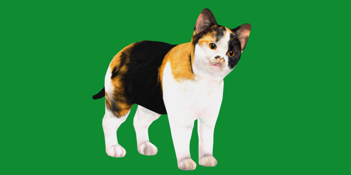 Calico Kitten Cat Low-poly 3D model_3