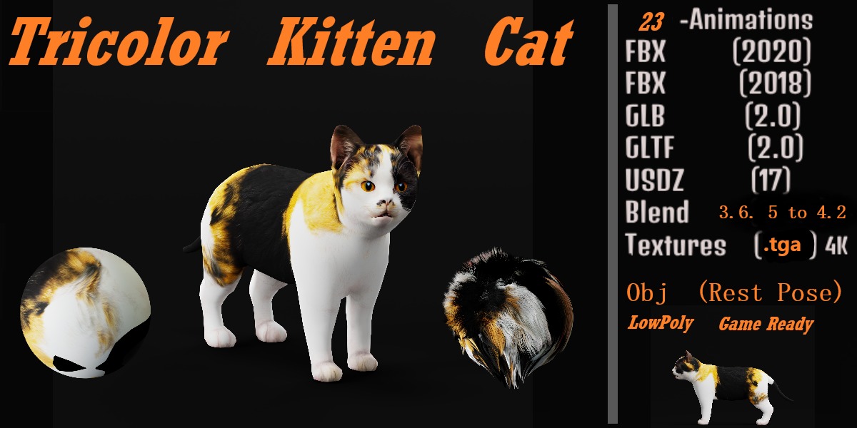 Calico Kitten Cat Low-poly 3D model_2