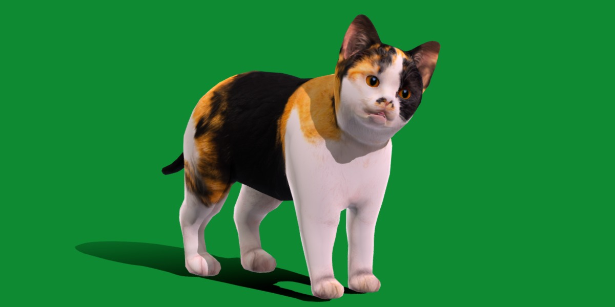 Calico Kitten Cat Low-poly 3D model_27