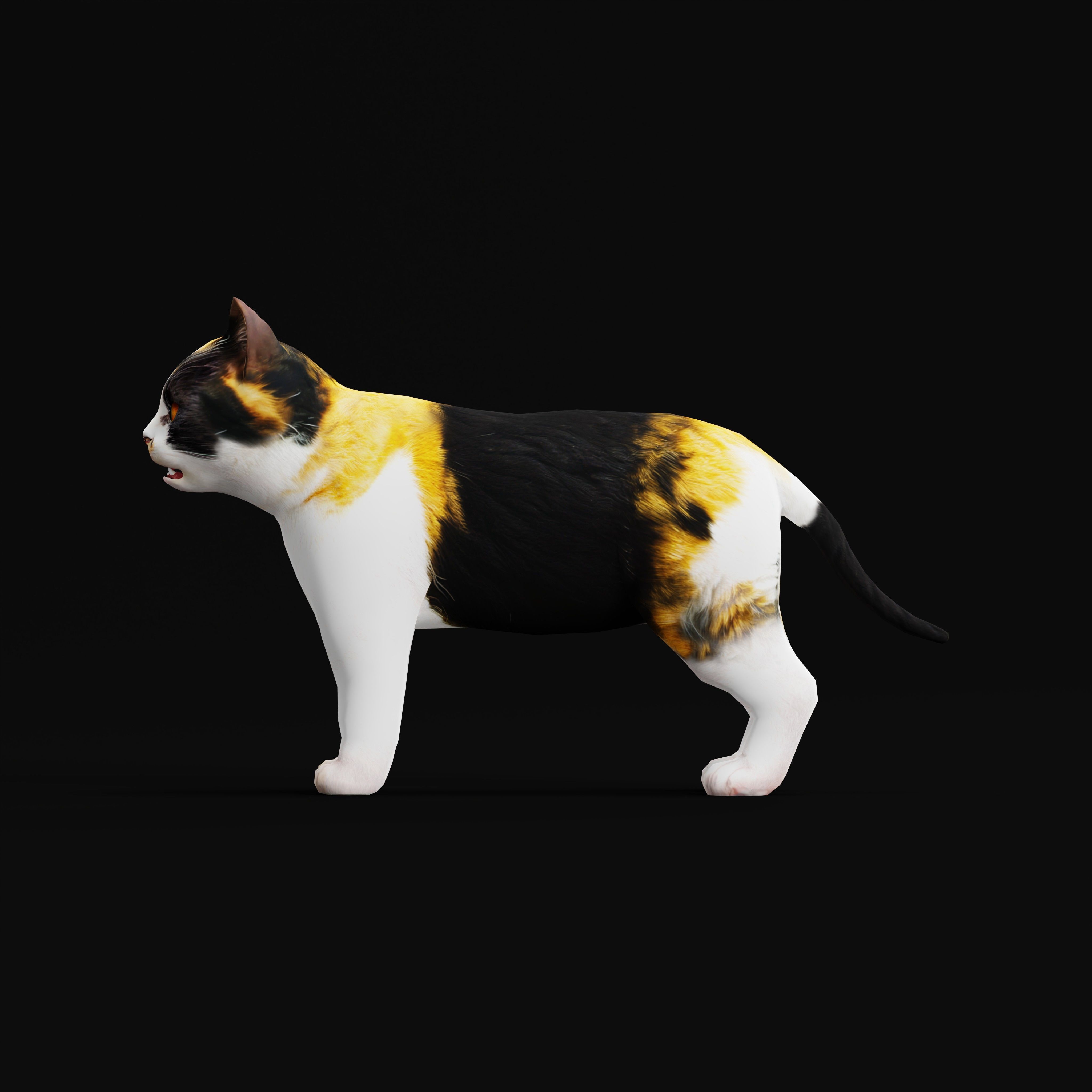 Calico Kitten Cat Low-poly 3D model_29
