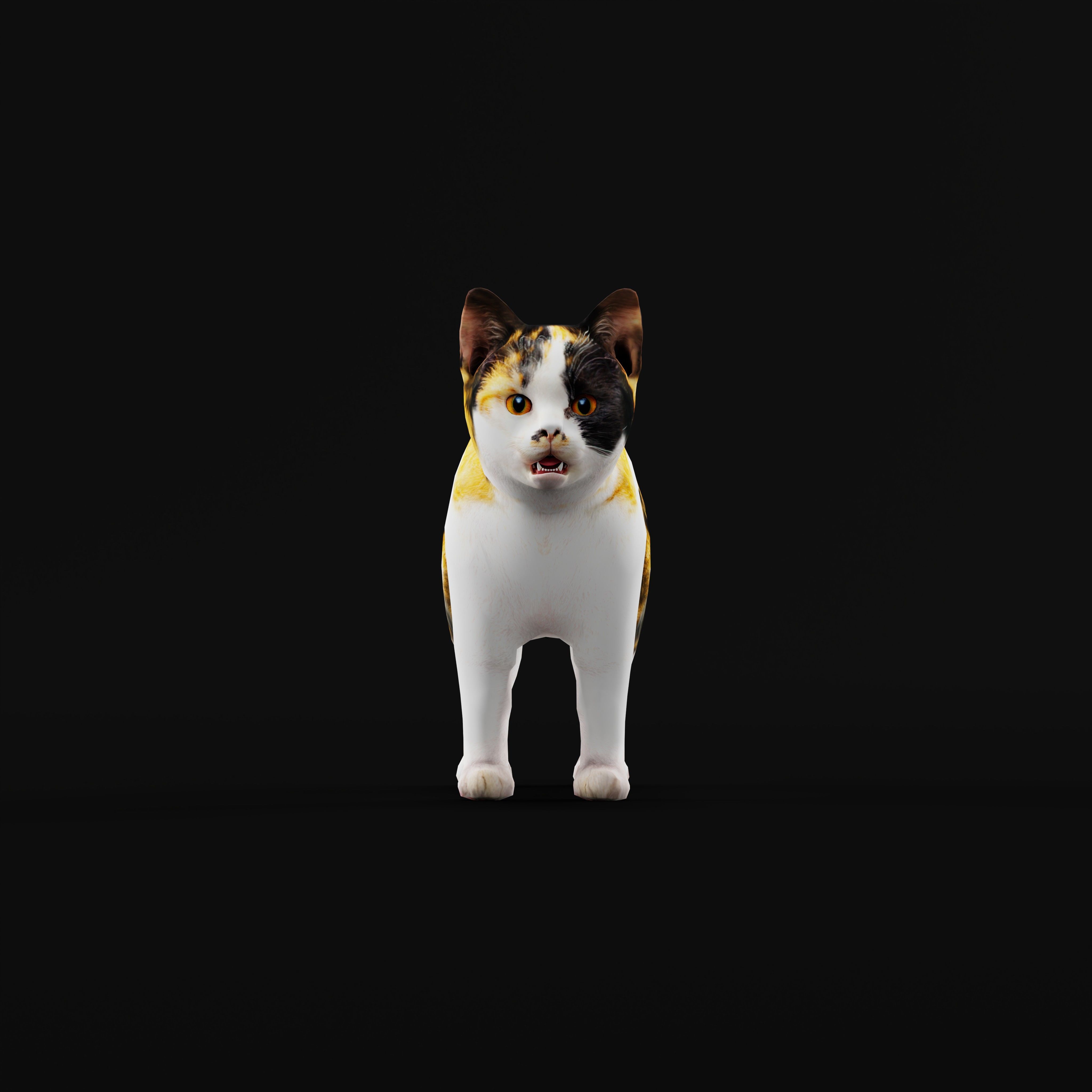 Calico Kitten Cat Low-poly 3D model_28