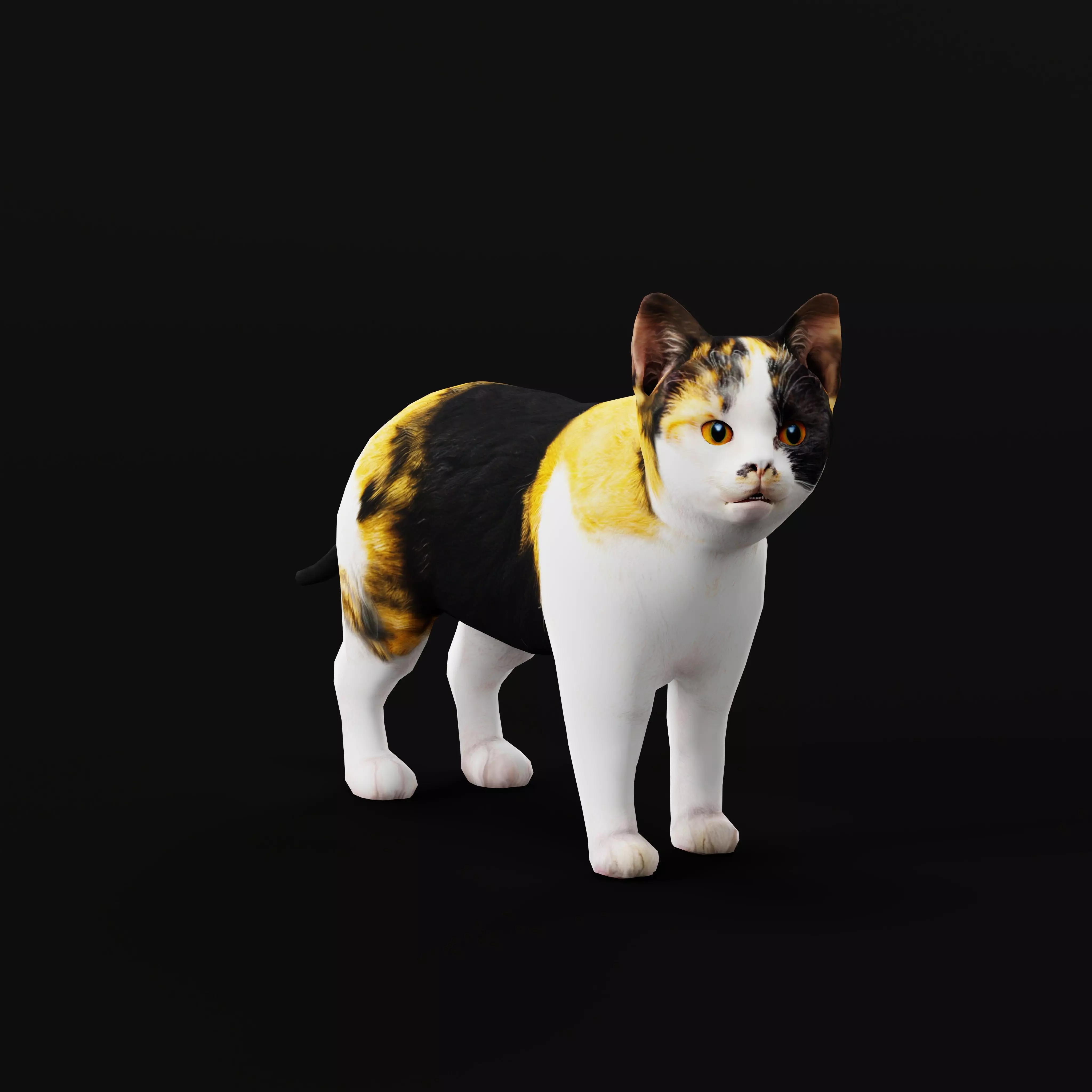 Calico Kitten Cat Low-poly 3D model_0