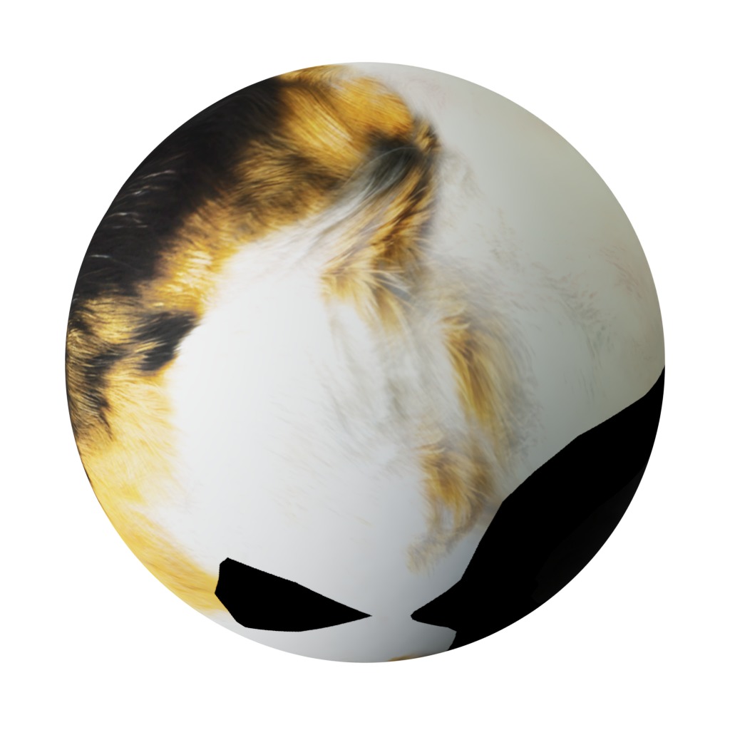 Calico Kitten Cat Low-poly 3D model_37