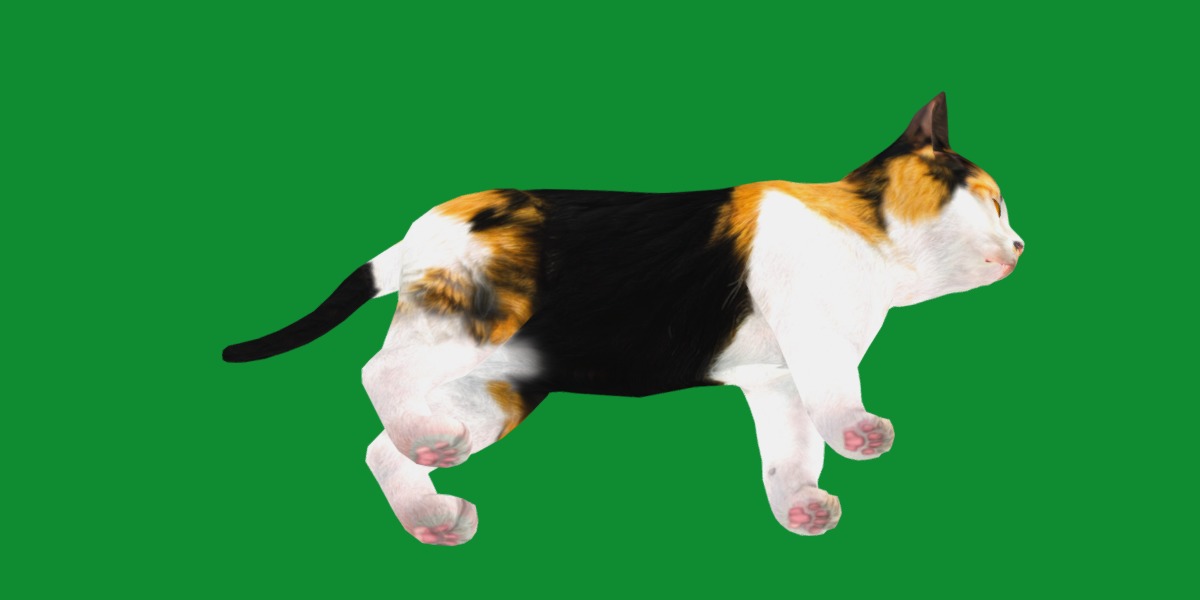 Calico Kitten Cat Low-poly 3D model_5