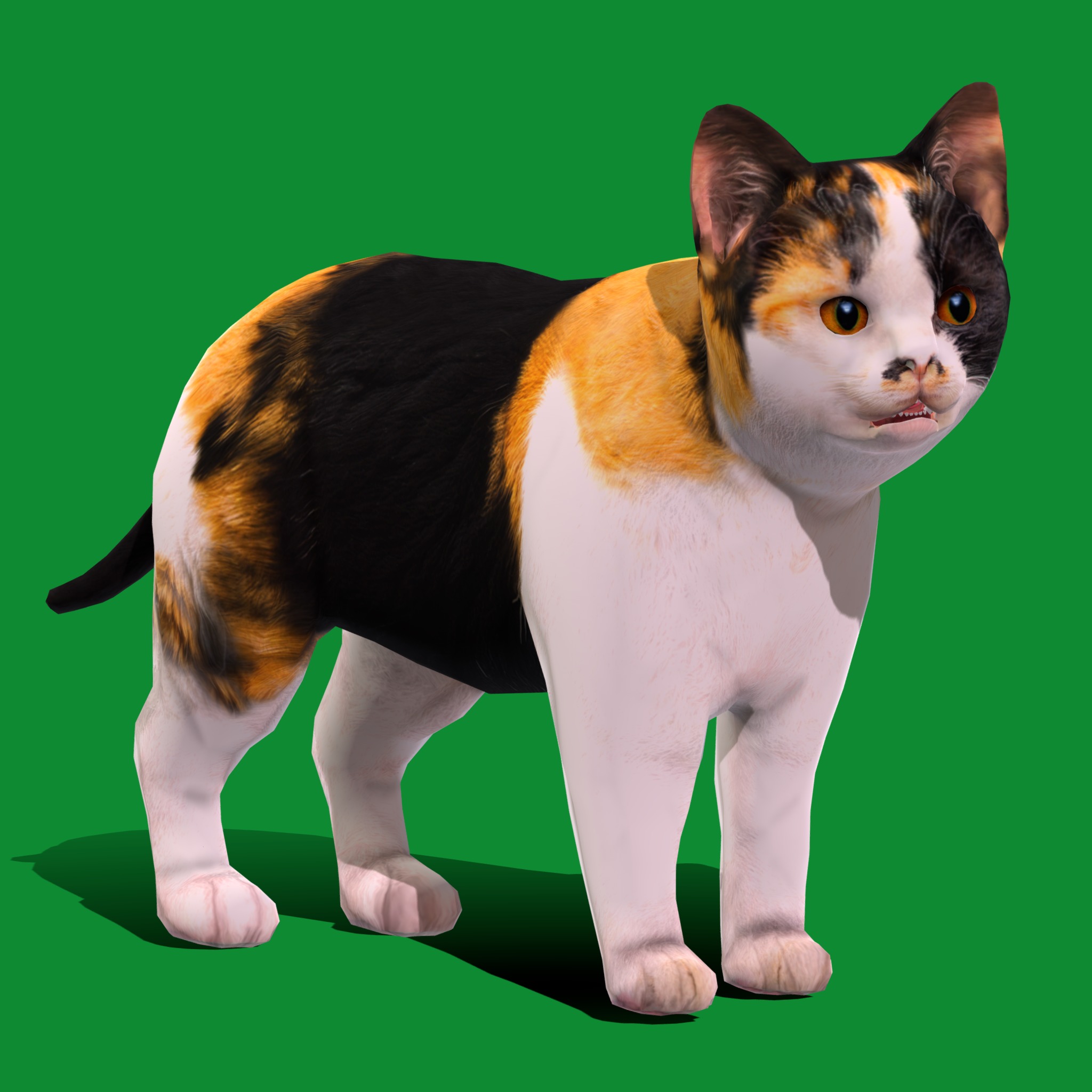 Calico Kitten Cat Low-poly 3D model_18