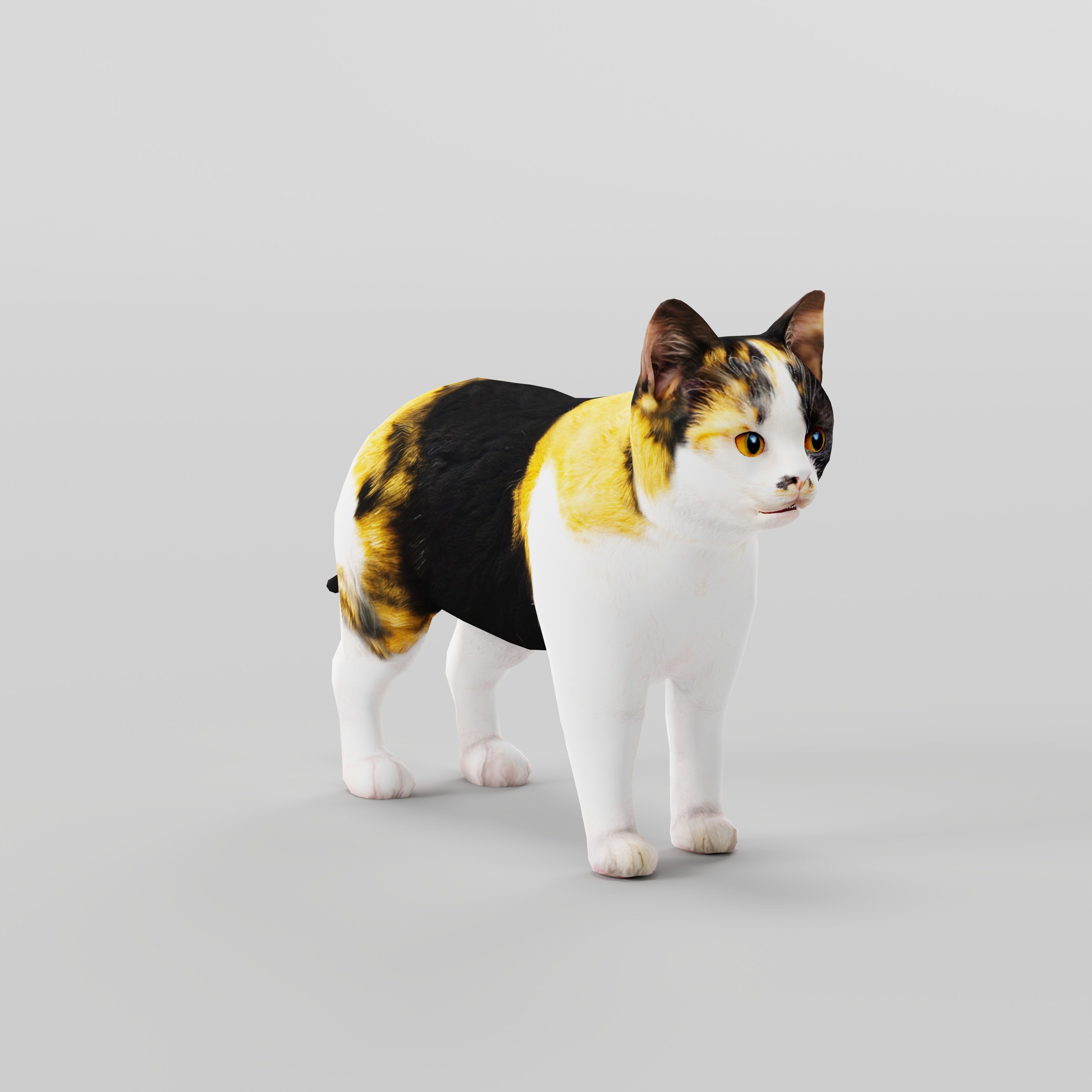 Calico Kitten Cat Low-poly 3D model_35