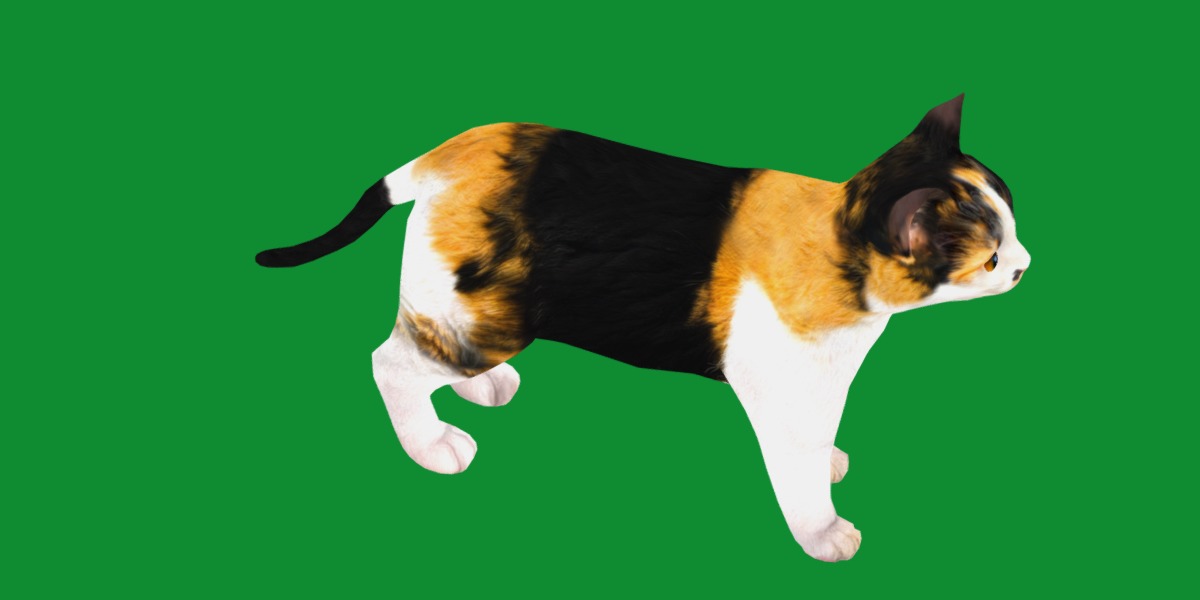 Calico Kitten Cat Low-poly 3D model_7
