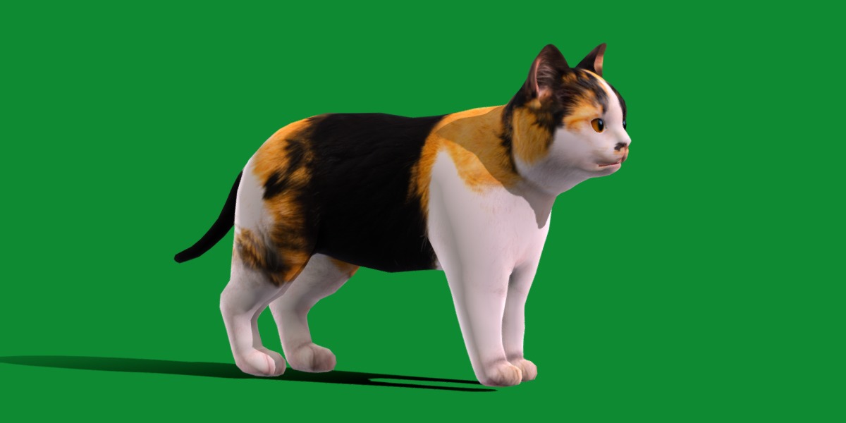 Calico Kitten Cat Low-poly 3D model_14