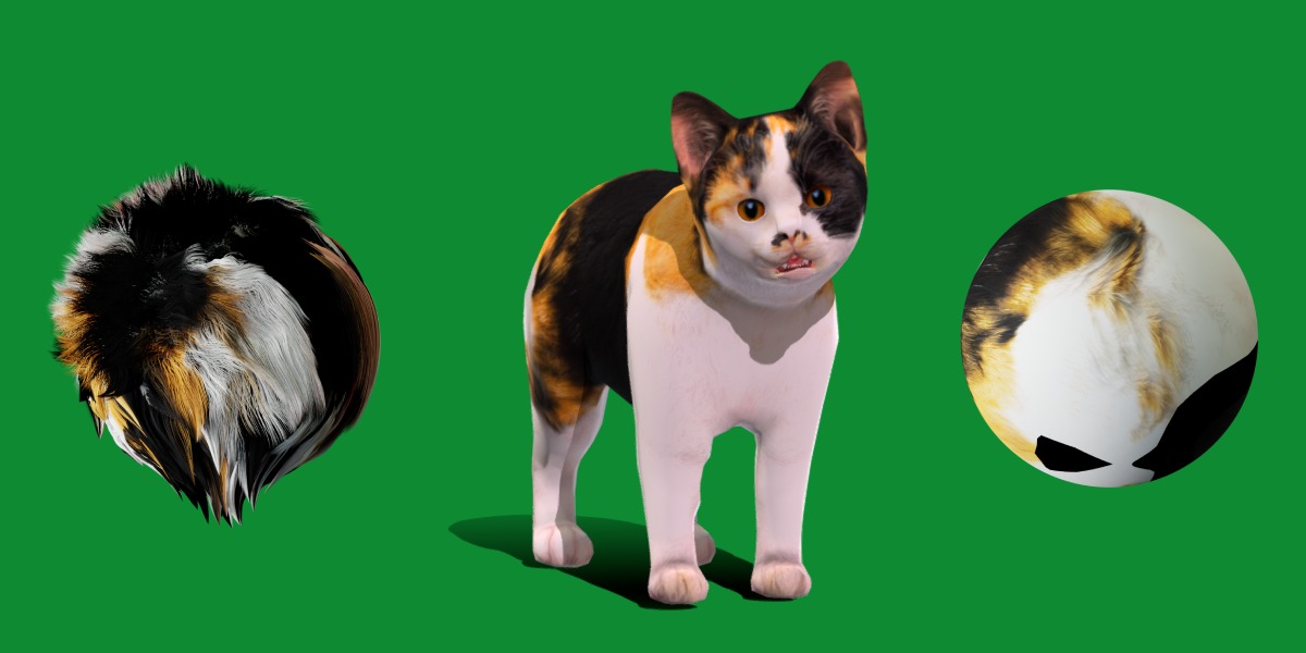Calico Kitten Cat Low-poly 3D model_22