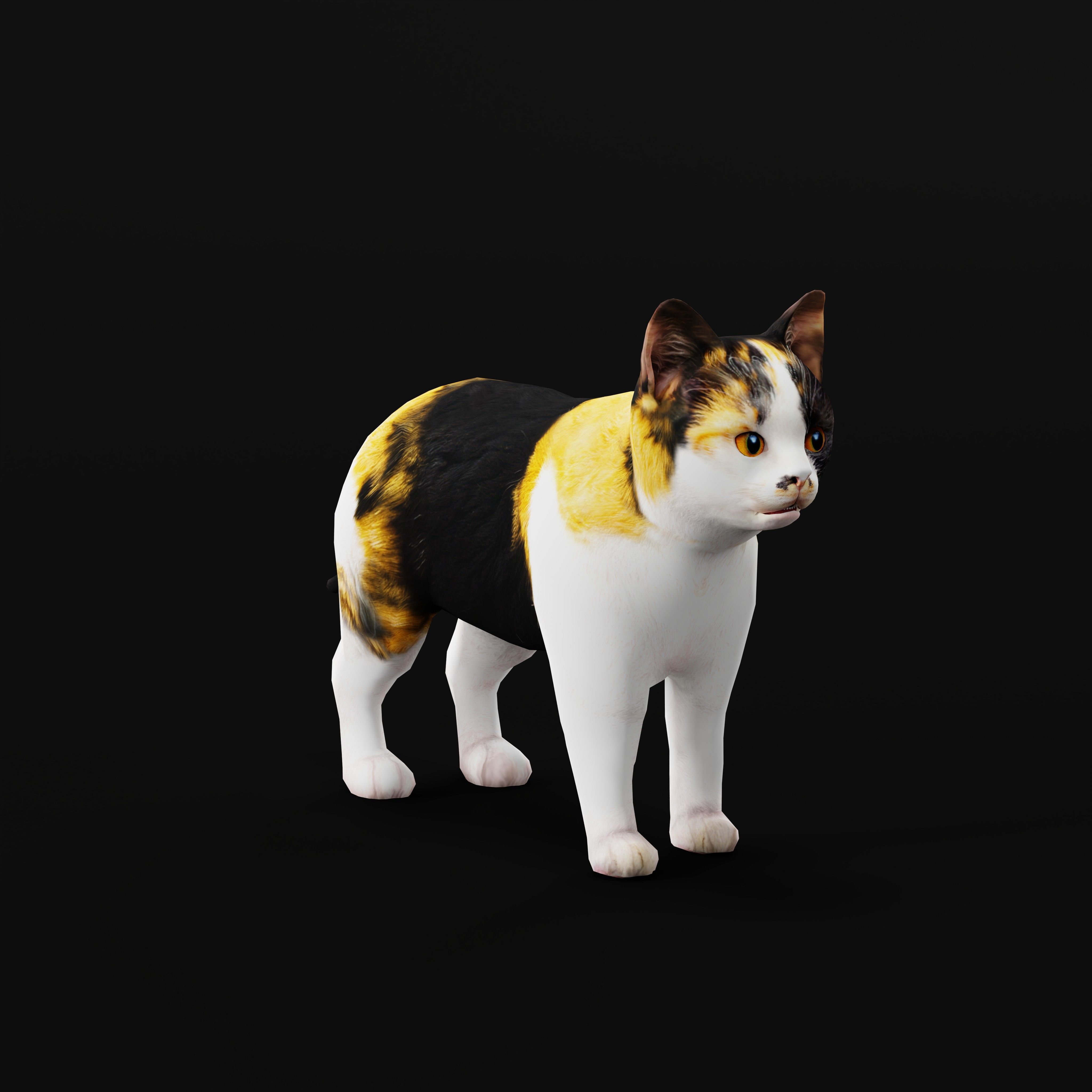 Calico Kitten Cat Low-poly 3D model_32