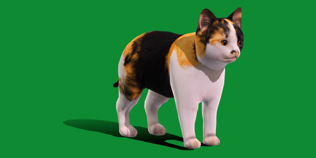 Calico Kitten Cat Low-poly 3D model_17