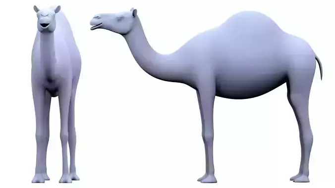 Camel  3D model
