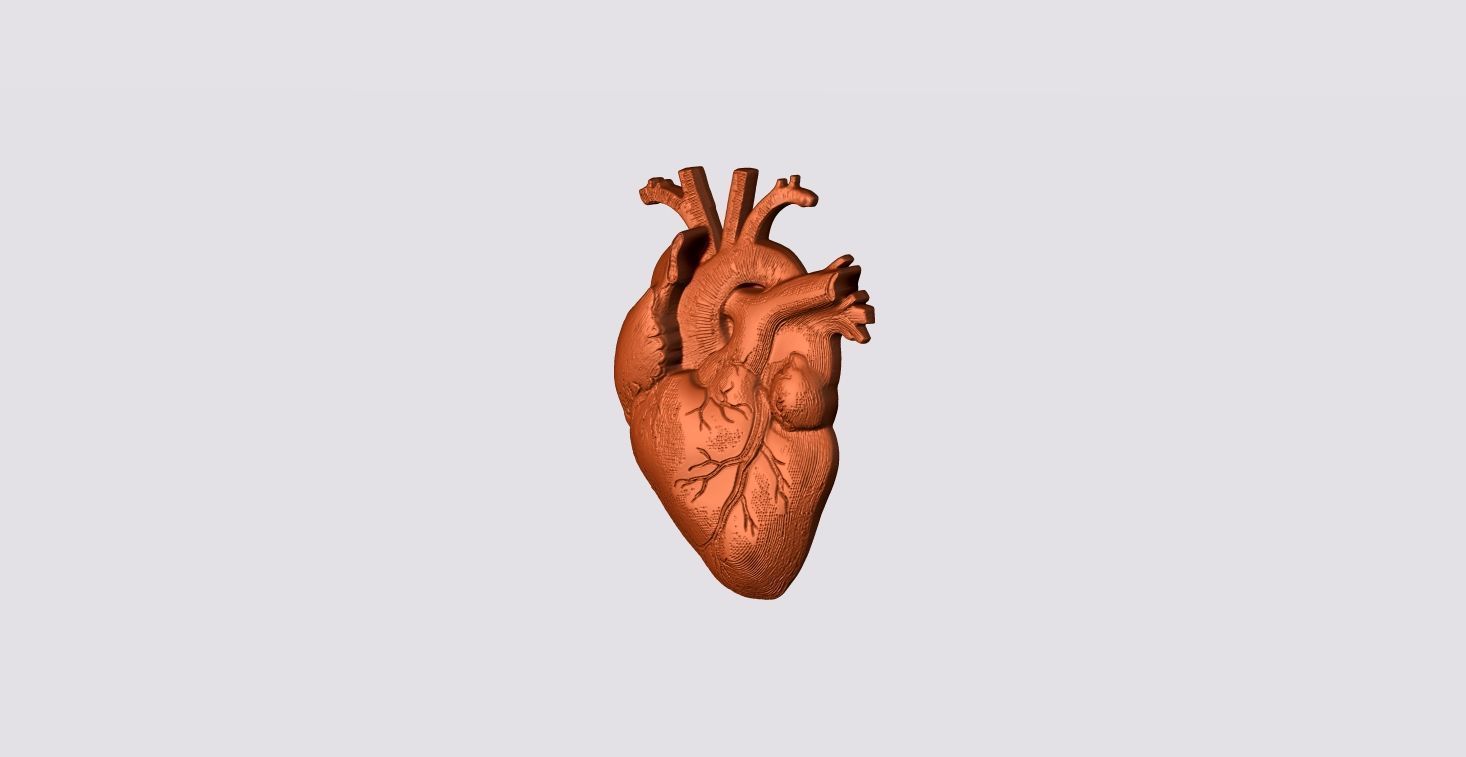 Real Heart Pendant 3D print model_3
