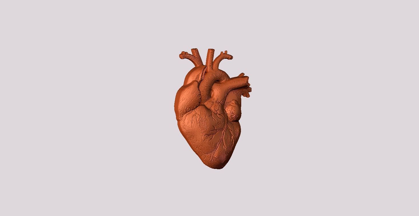 Real Heart Pendant 3D print model_1