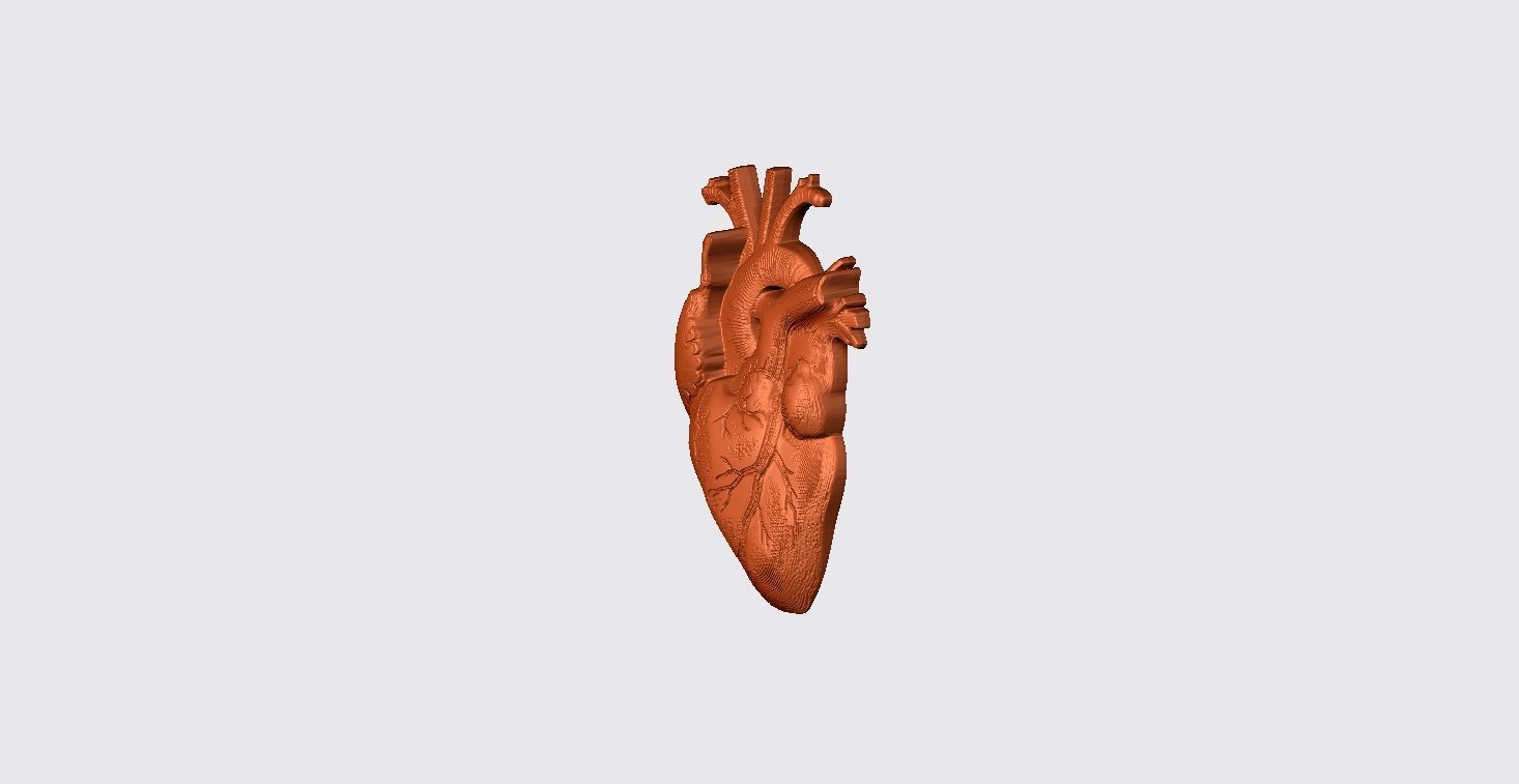 Real Heart Pendant 3D print model_4