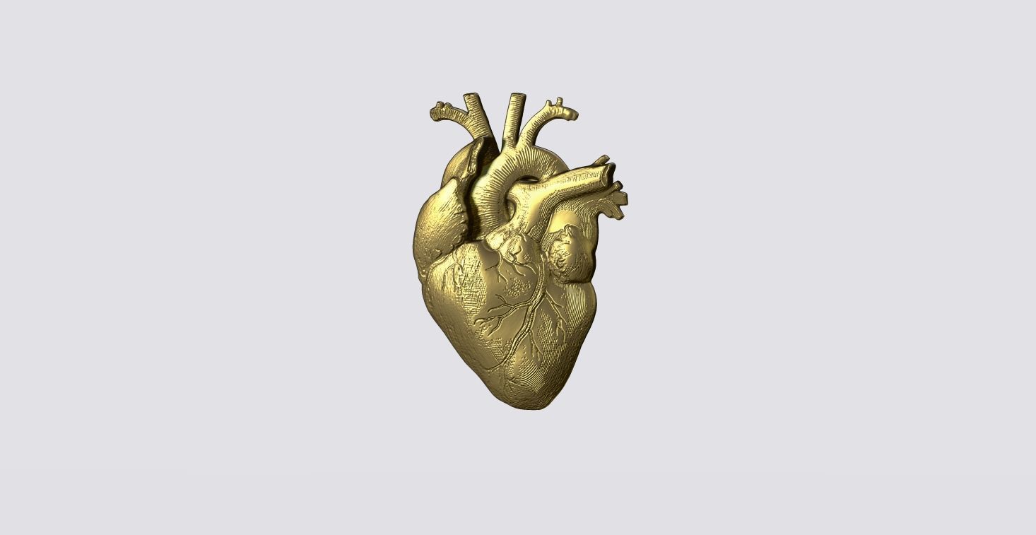 Real Heart Pendant 3D print model_8