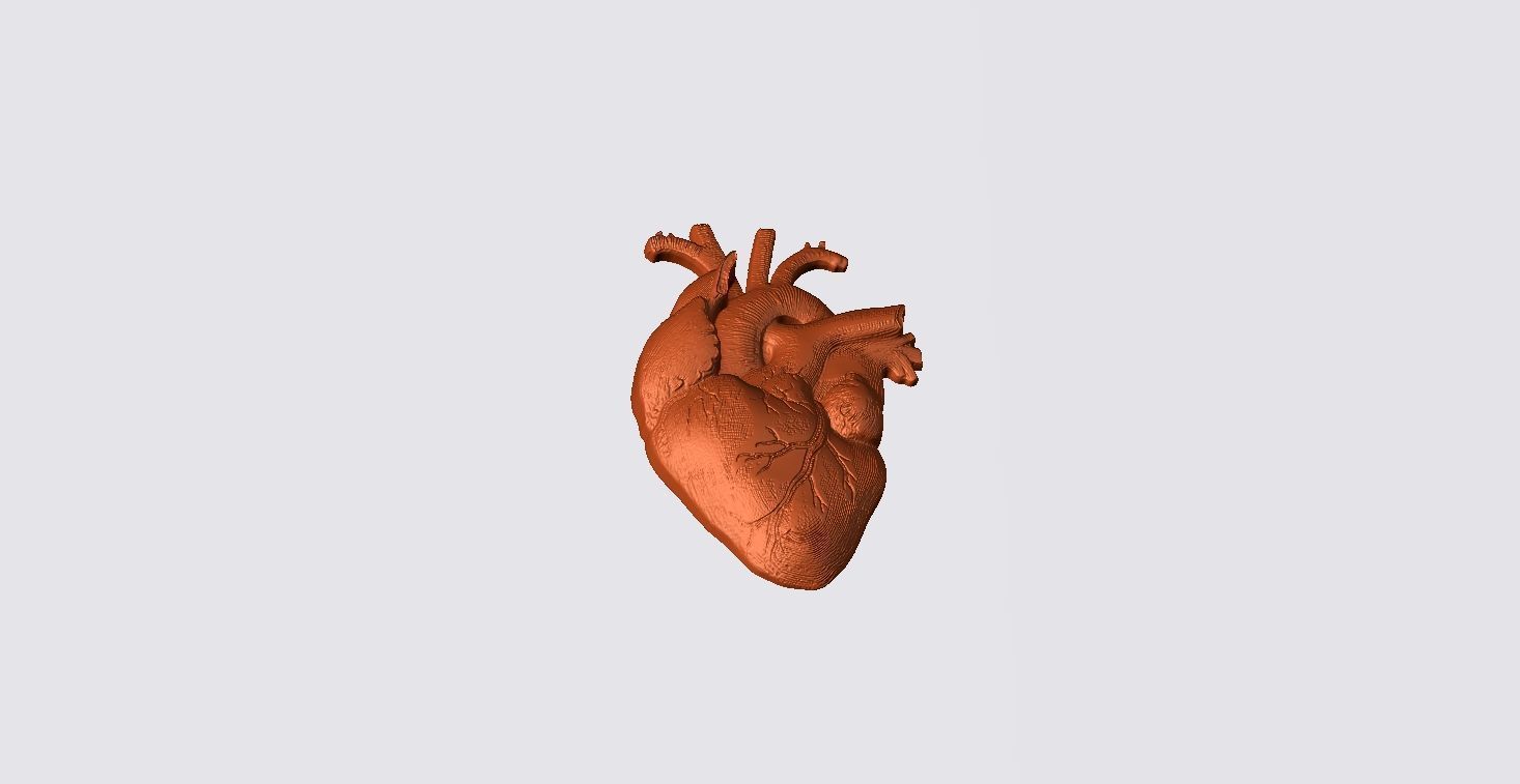 Real Heart Pendant 3D print model_2