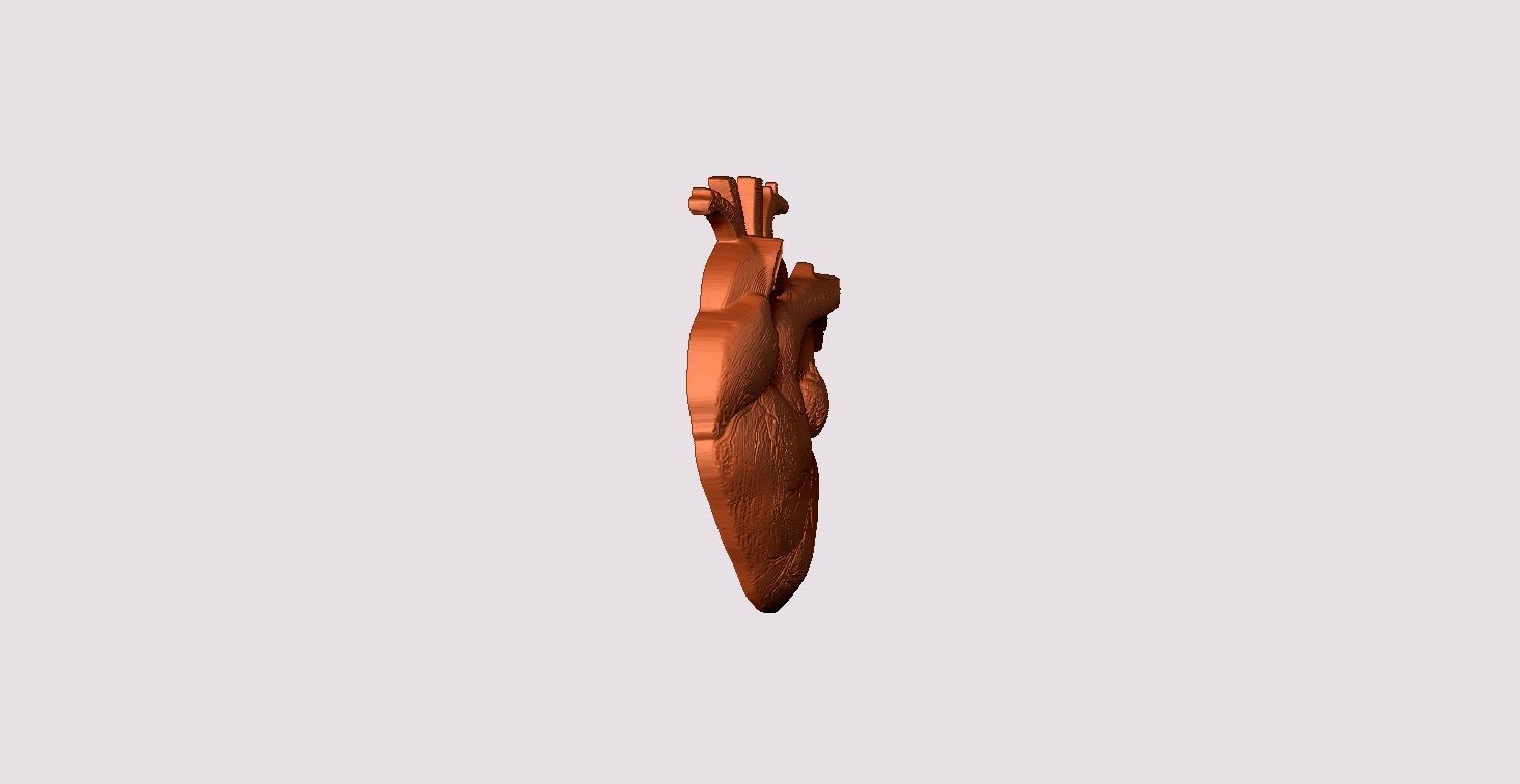 Real Heart Pendant 3D print model_5